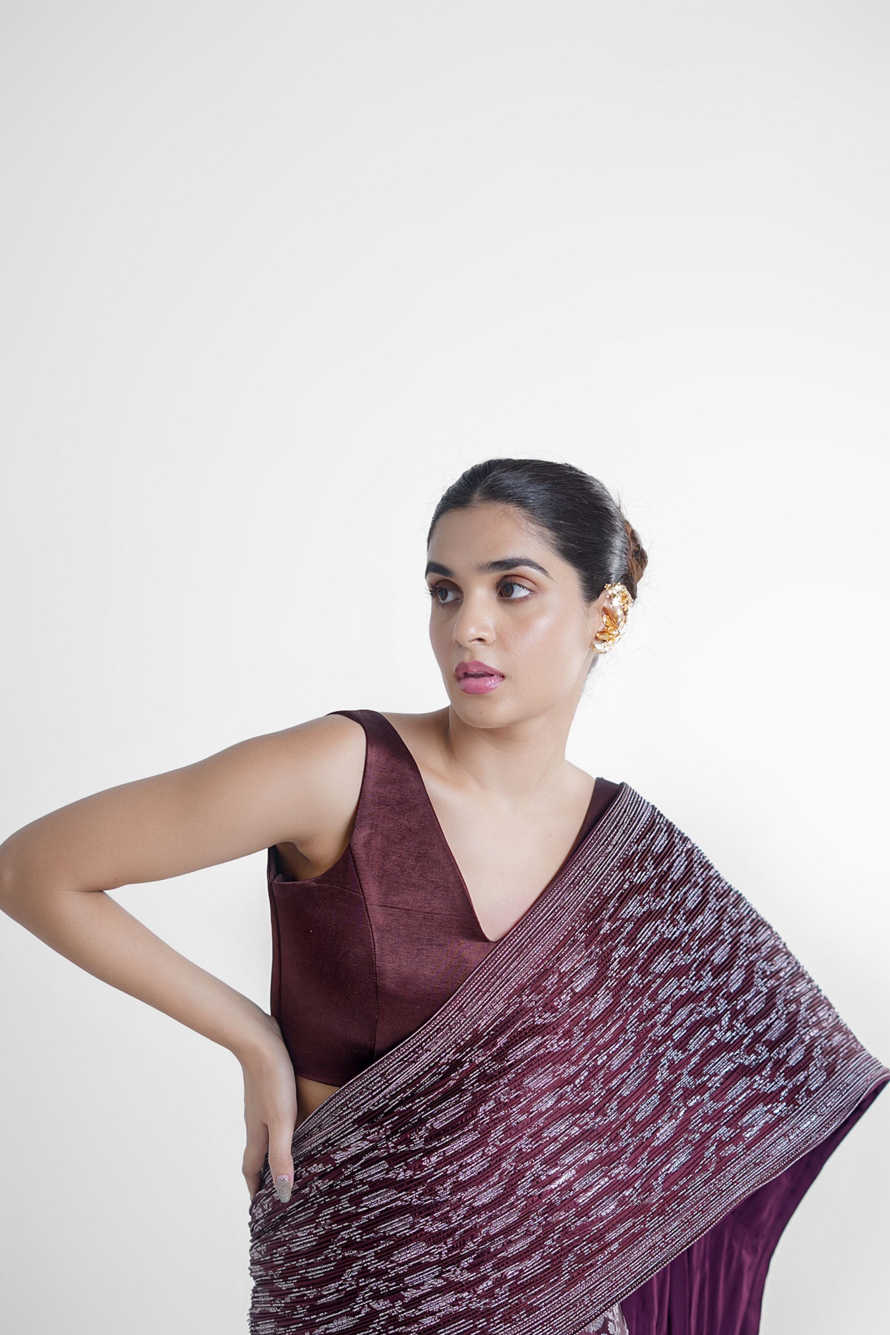 Sheena Banarasi Concept Saree