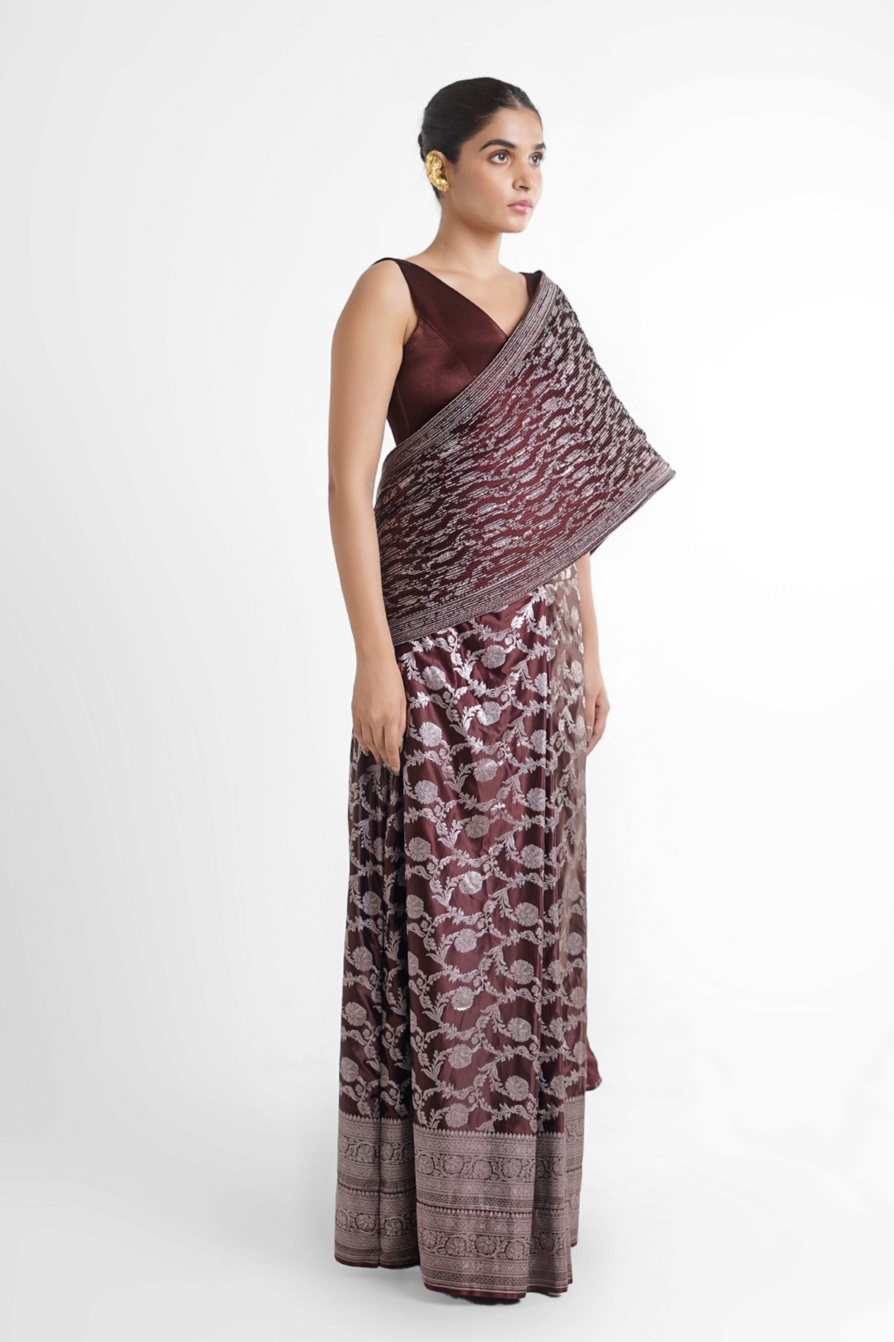 Sheena Banarasi Concept Saree