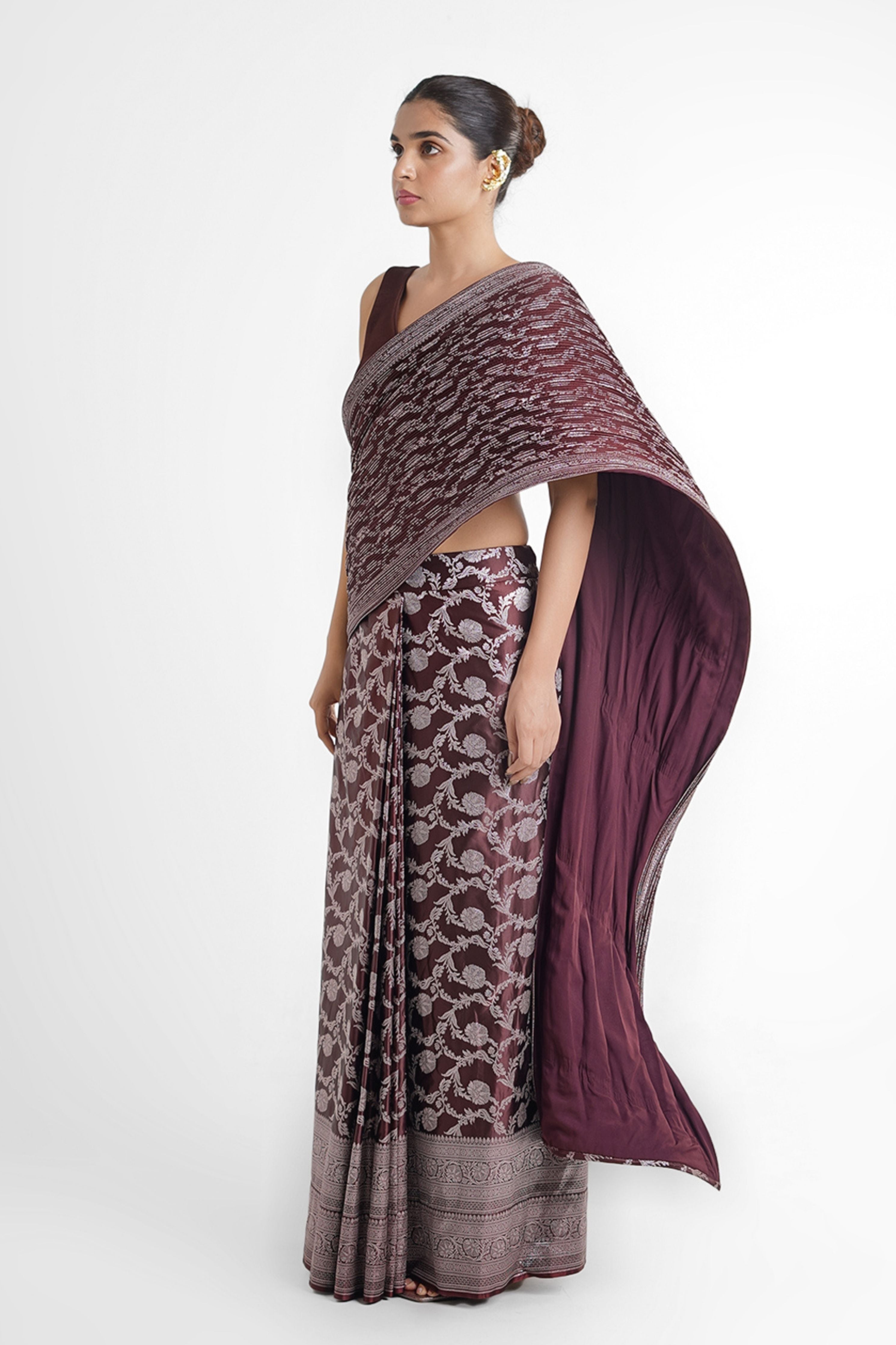 Sheena Banarasi Concept Saree