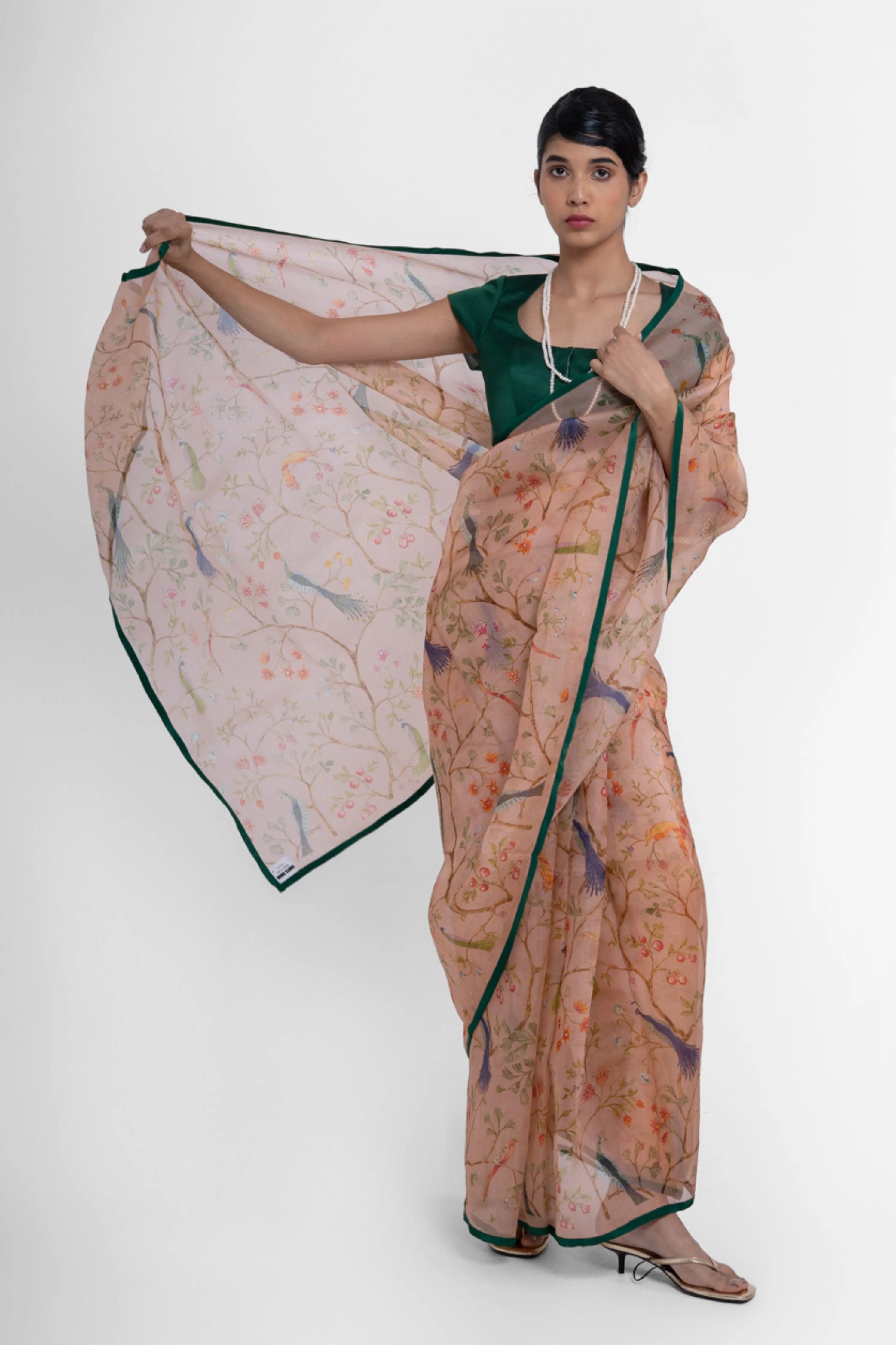 Morni Saree