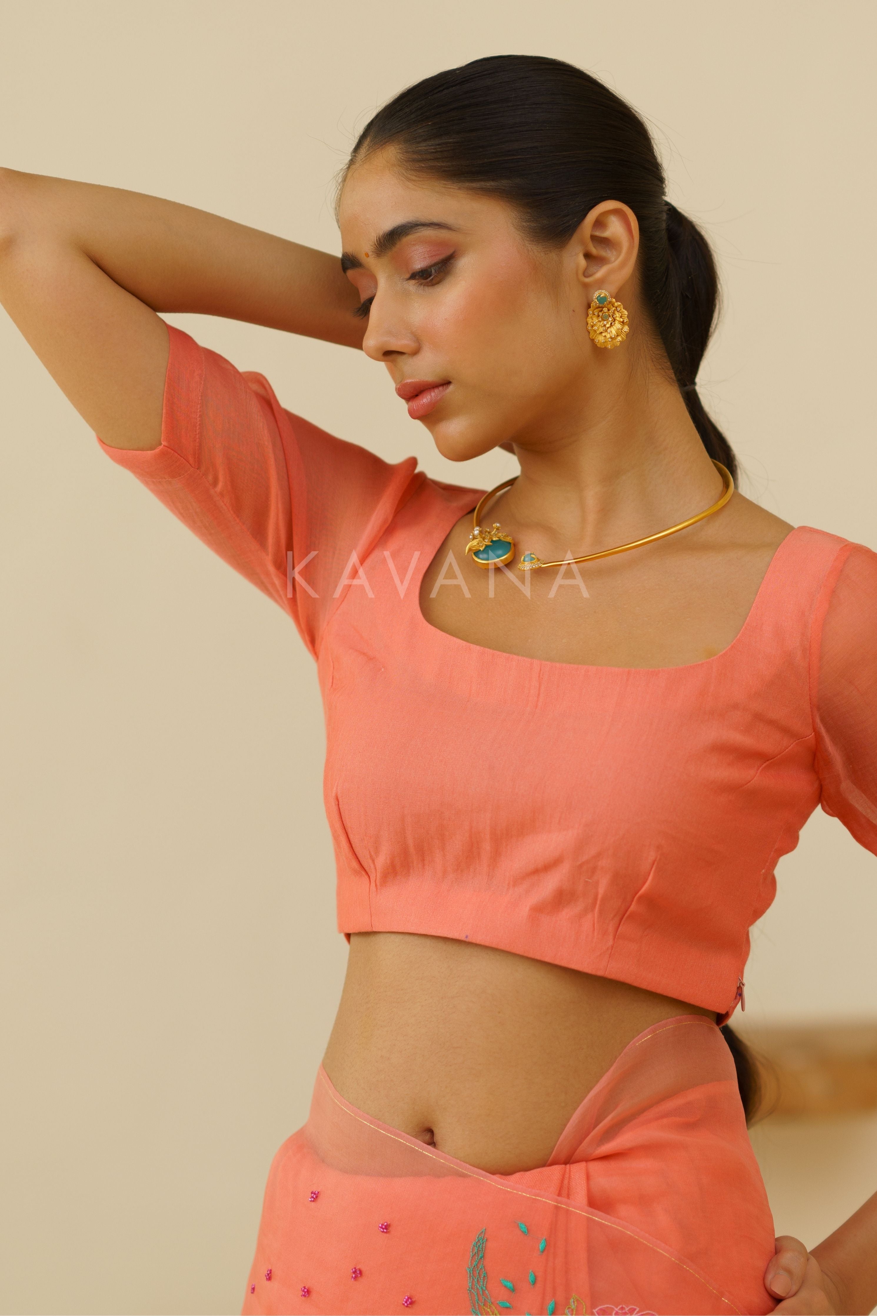 Bani Organza Linen Sari