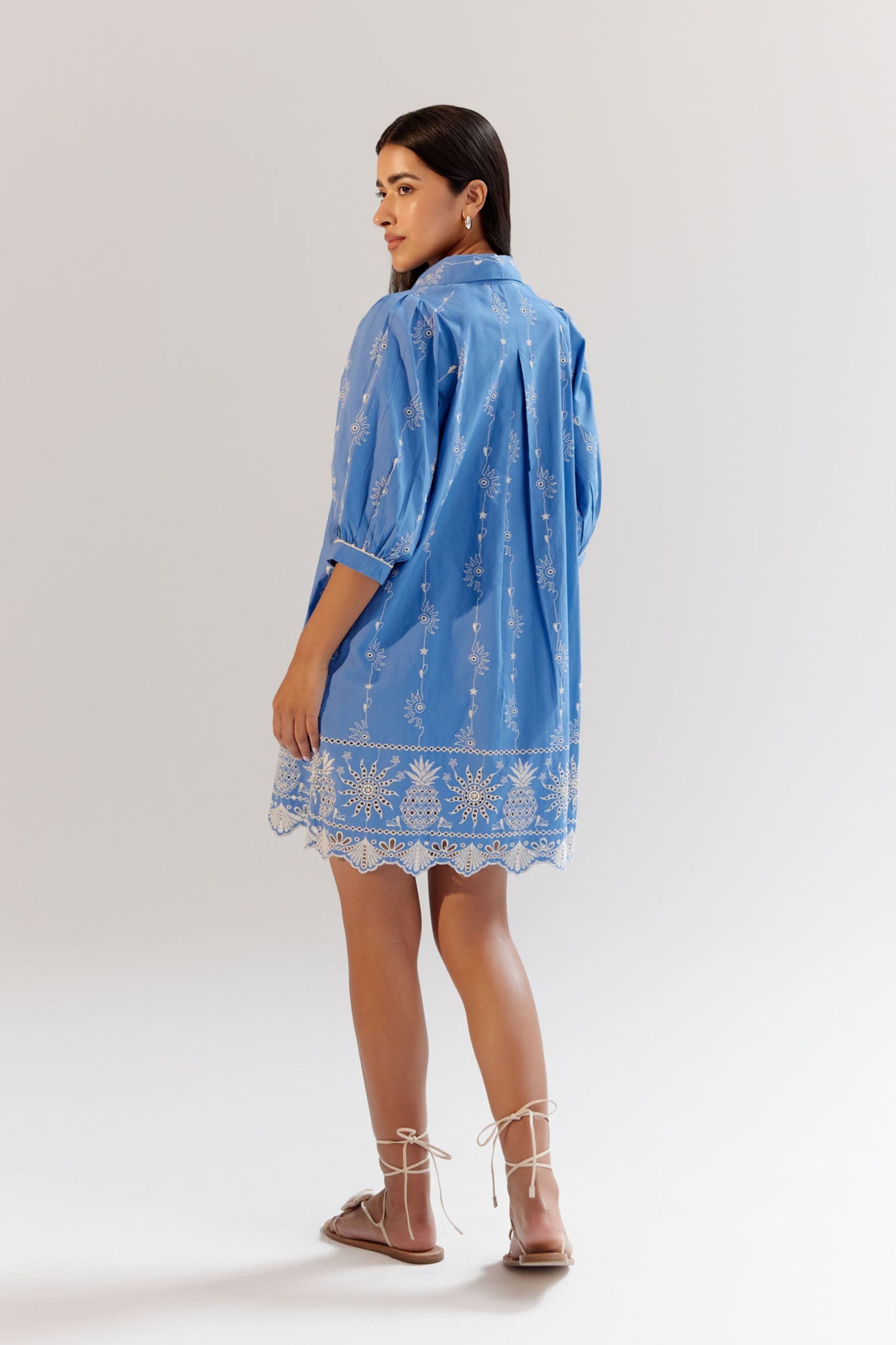 Blue Rosa Mini