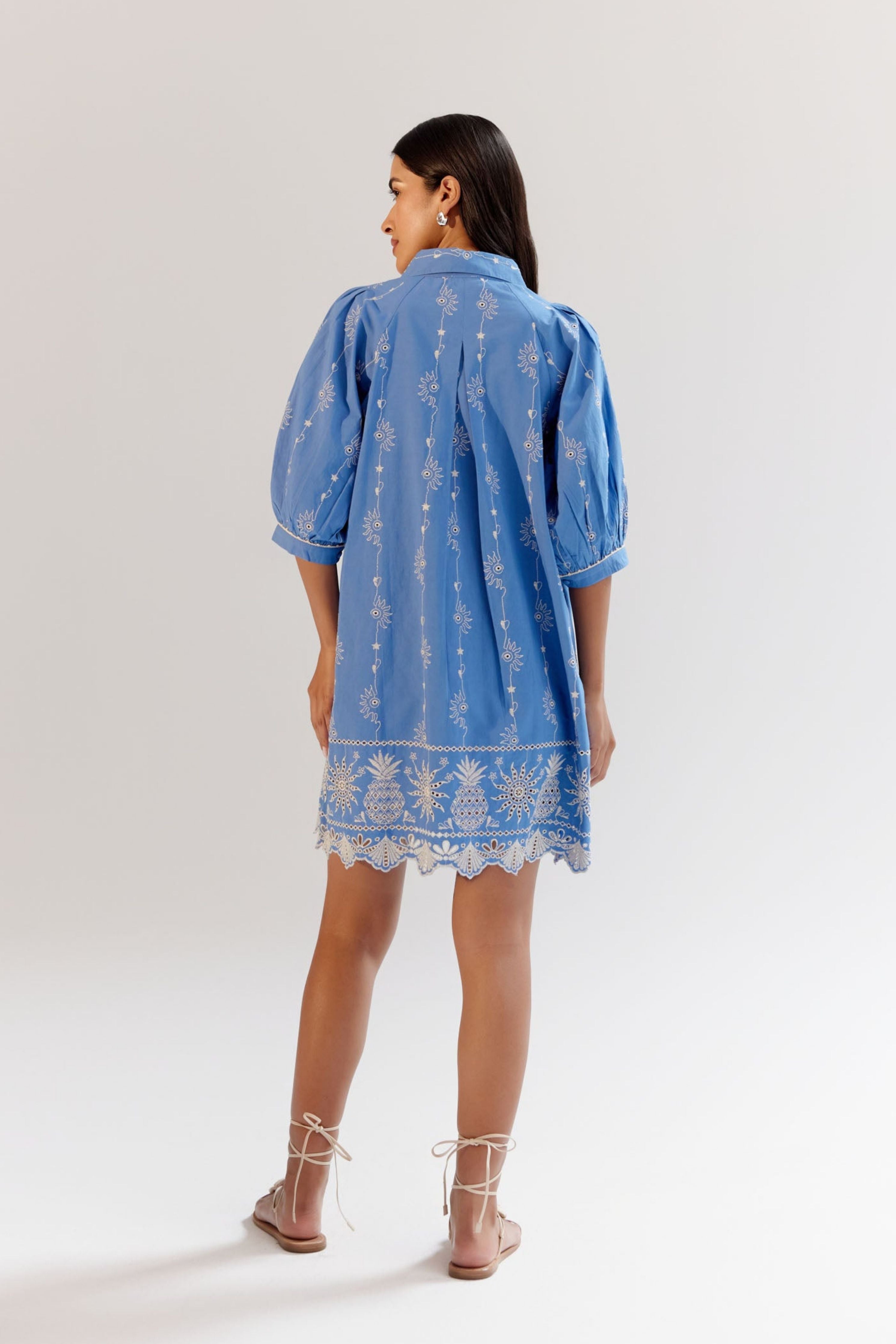 Blue Rosa Mini