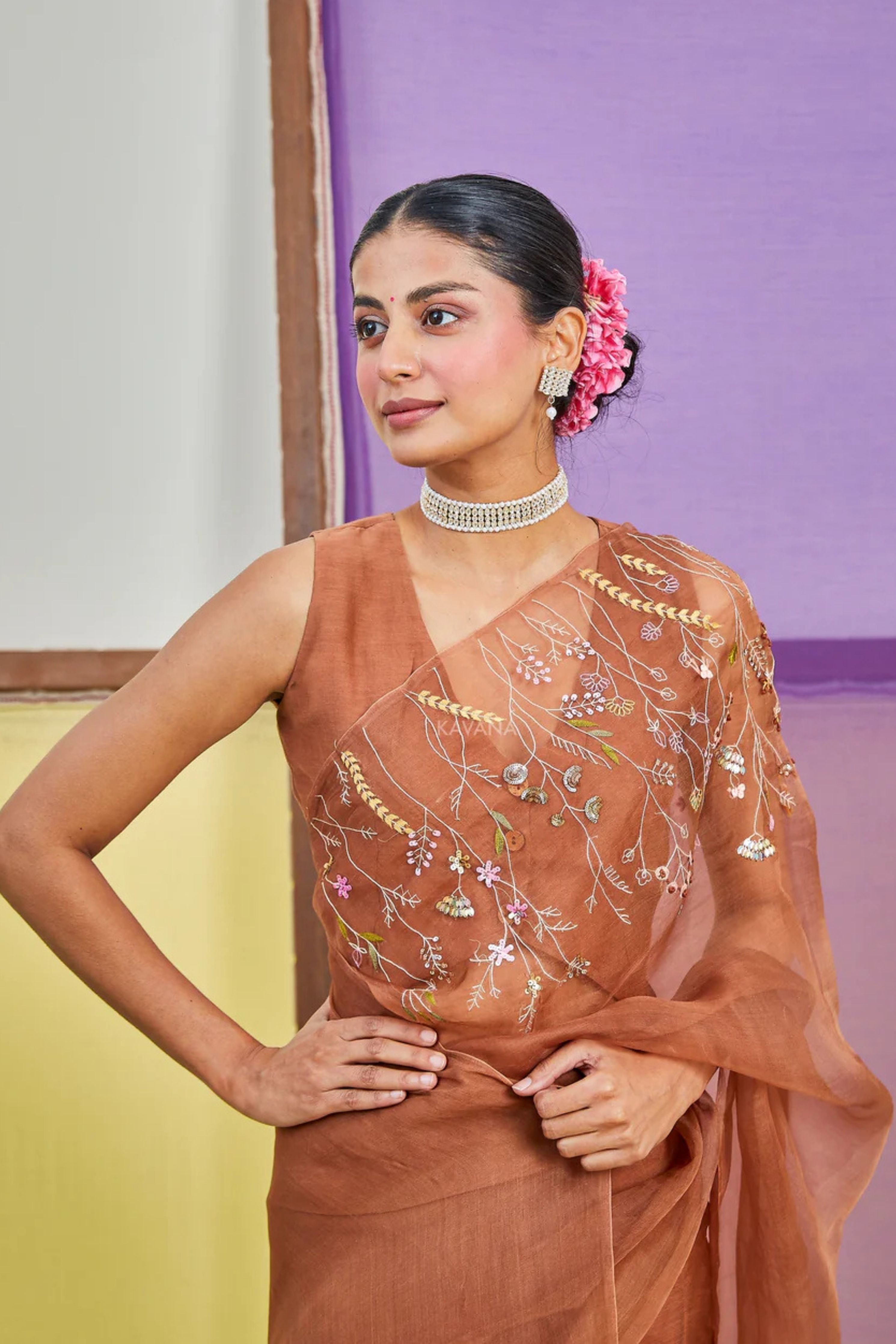 Dhara Silk Organza Sari