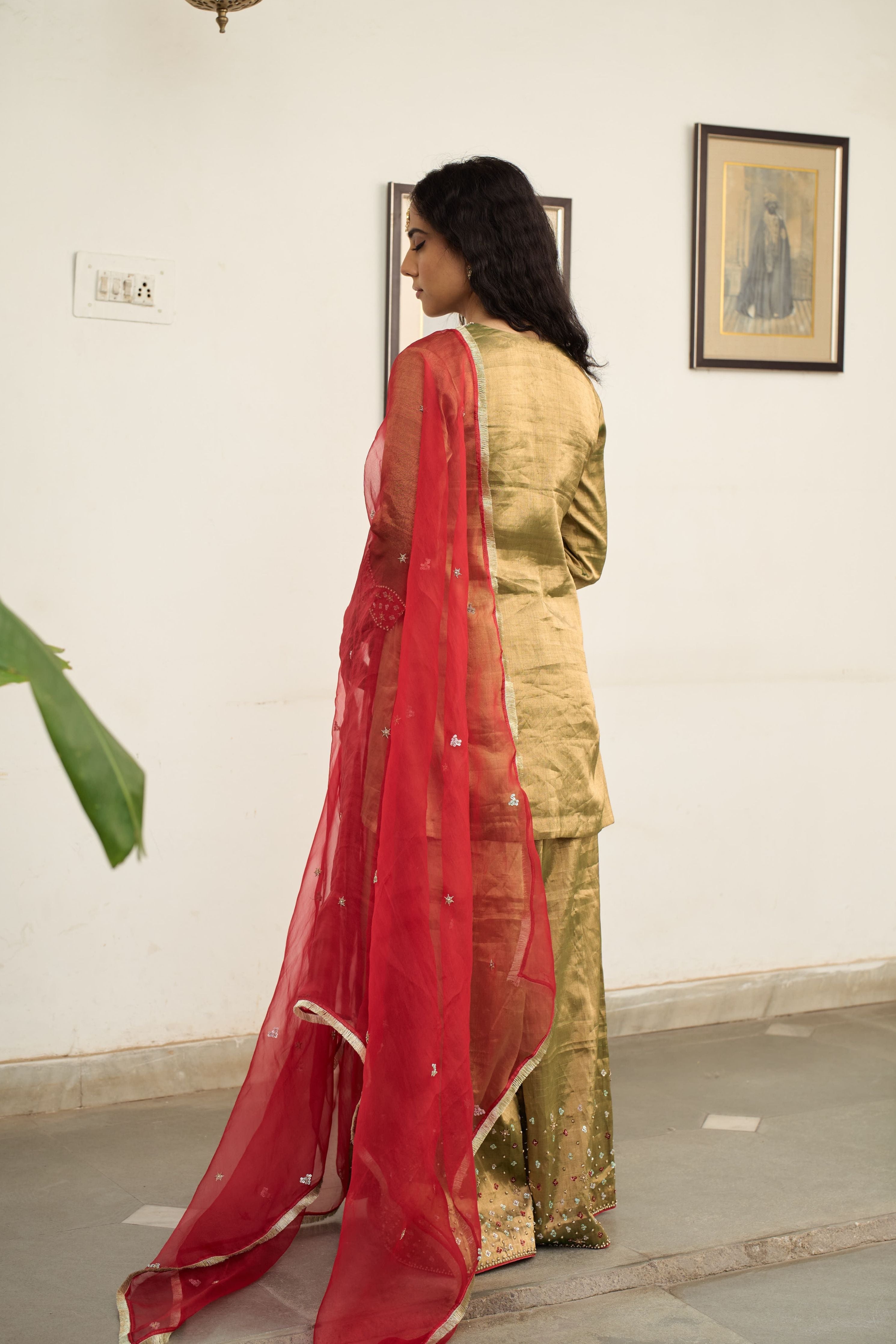 Jhilmil Tissue Sharara Set