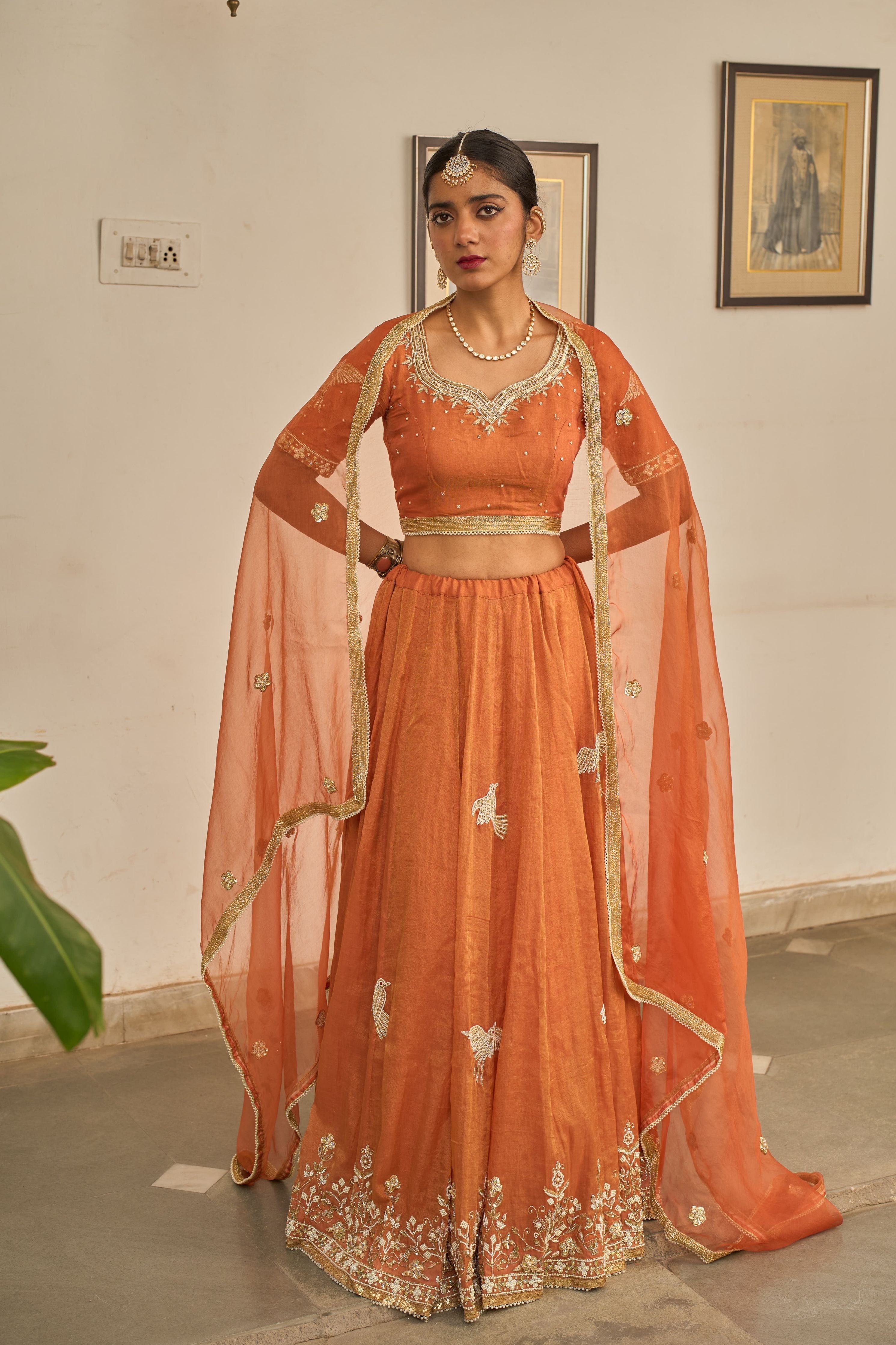 Malhar Lehenga Set