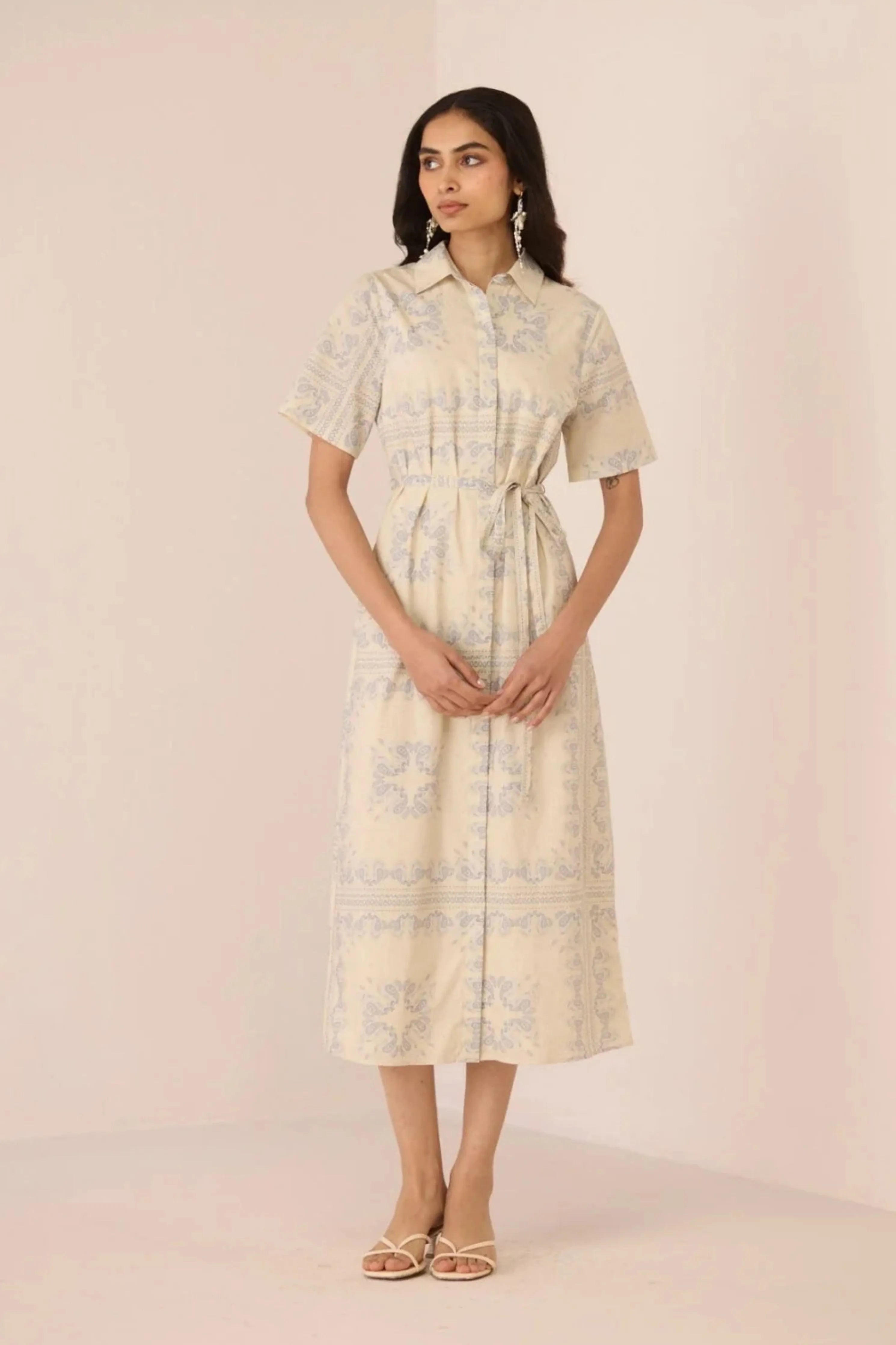 Aster Shirt Dress