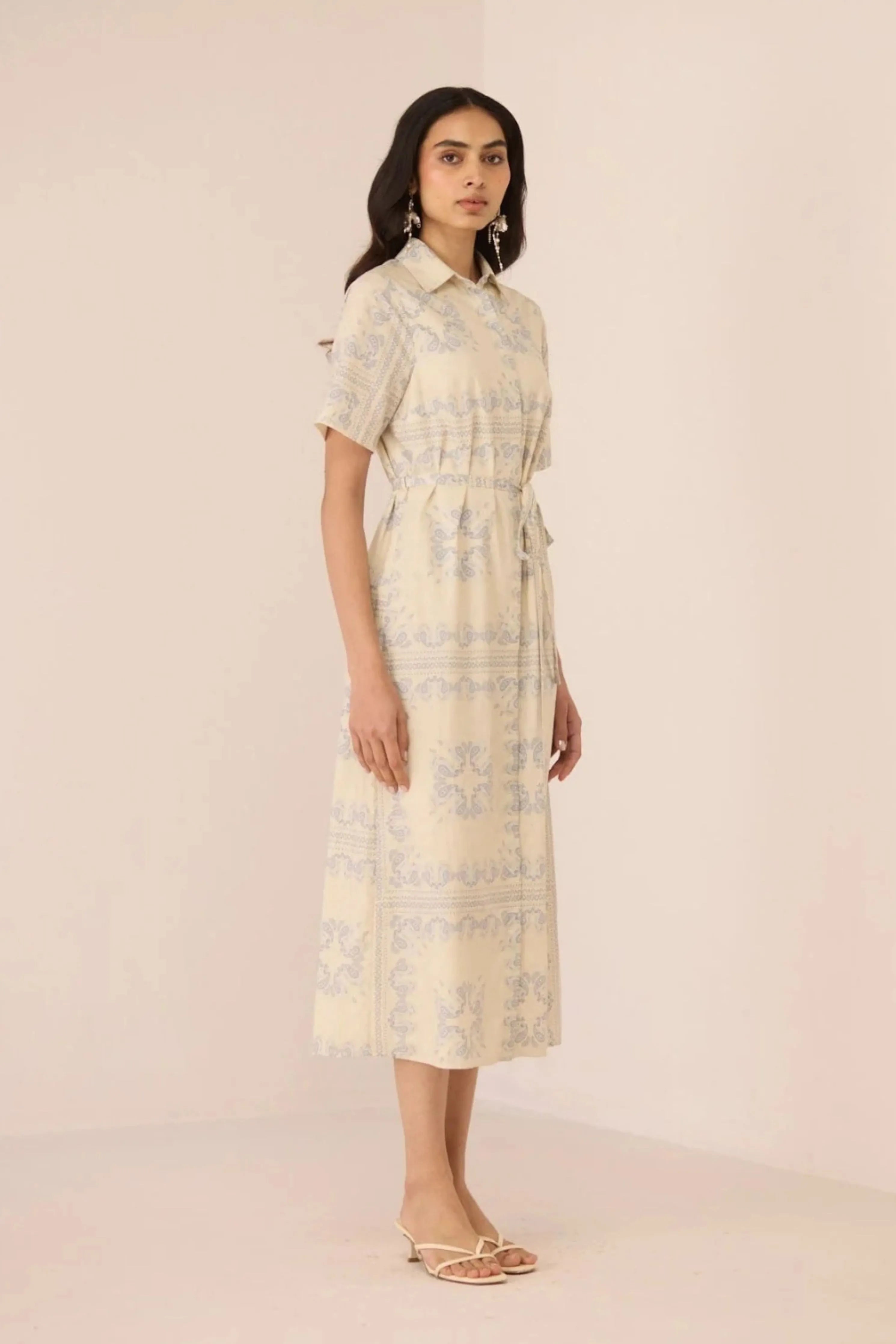 Aster Shirt Dress