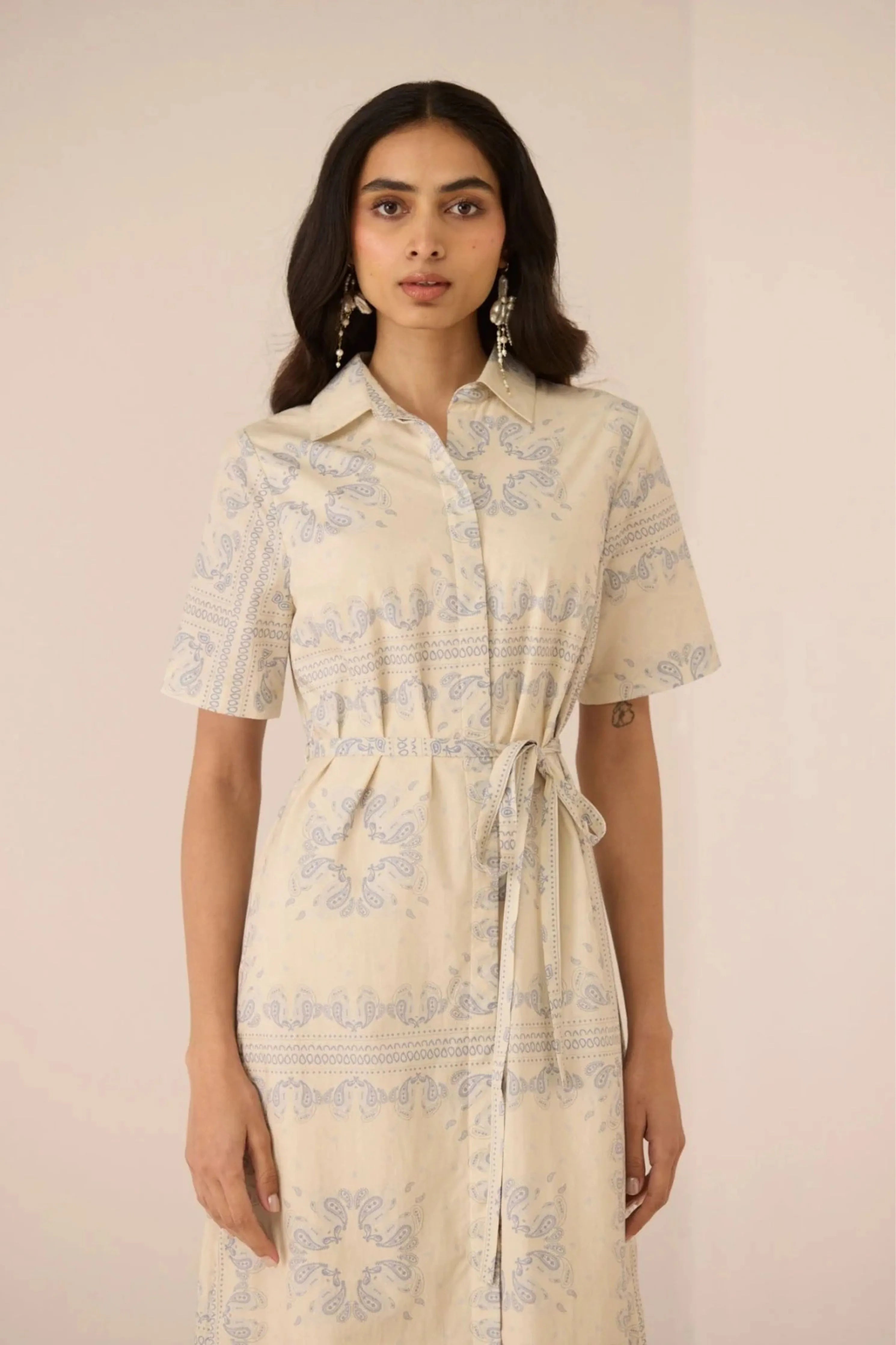Aster Shirt Dress