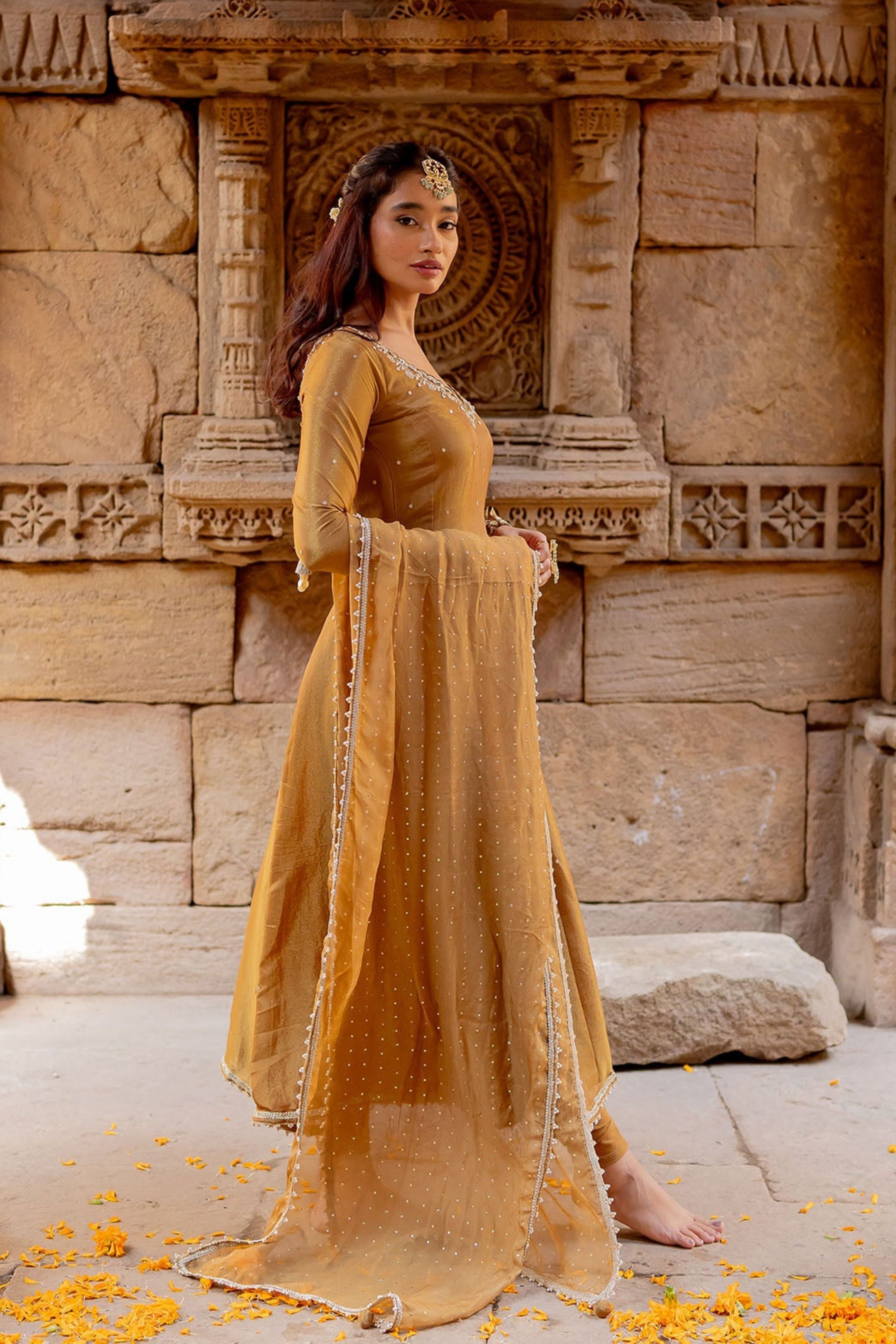 Mocha Tissue Embroidered Anarkali Set