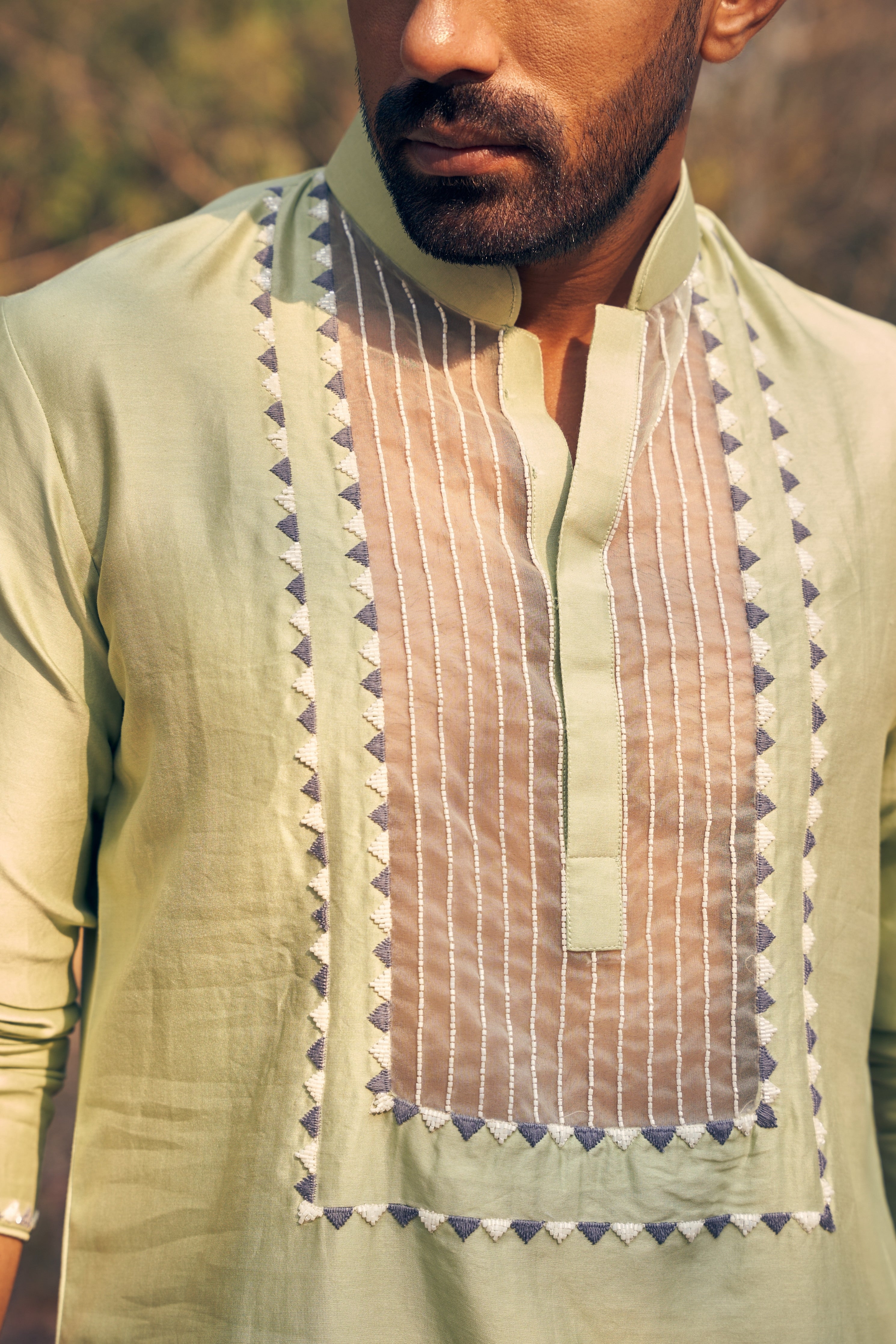 Sheer Kurta Set