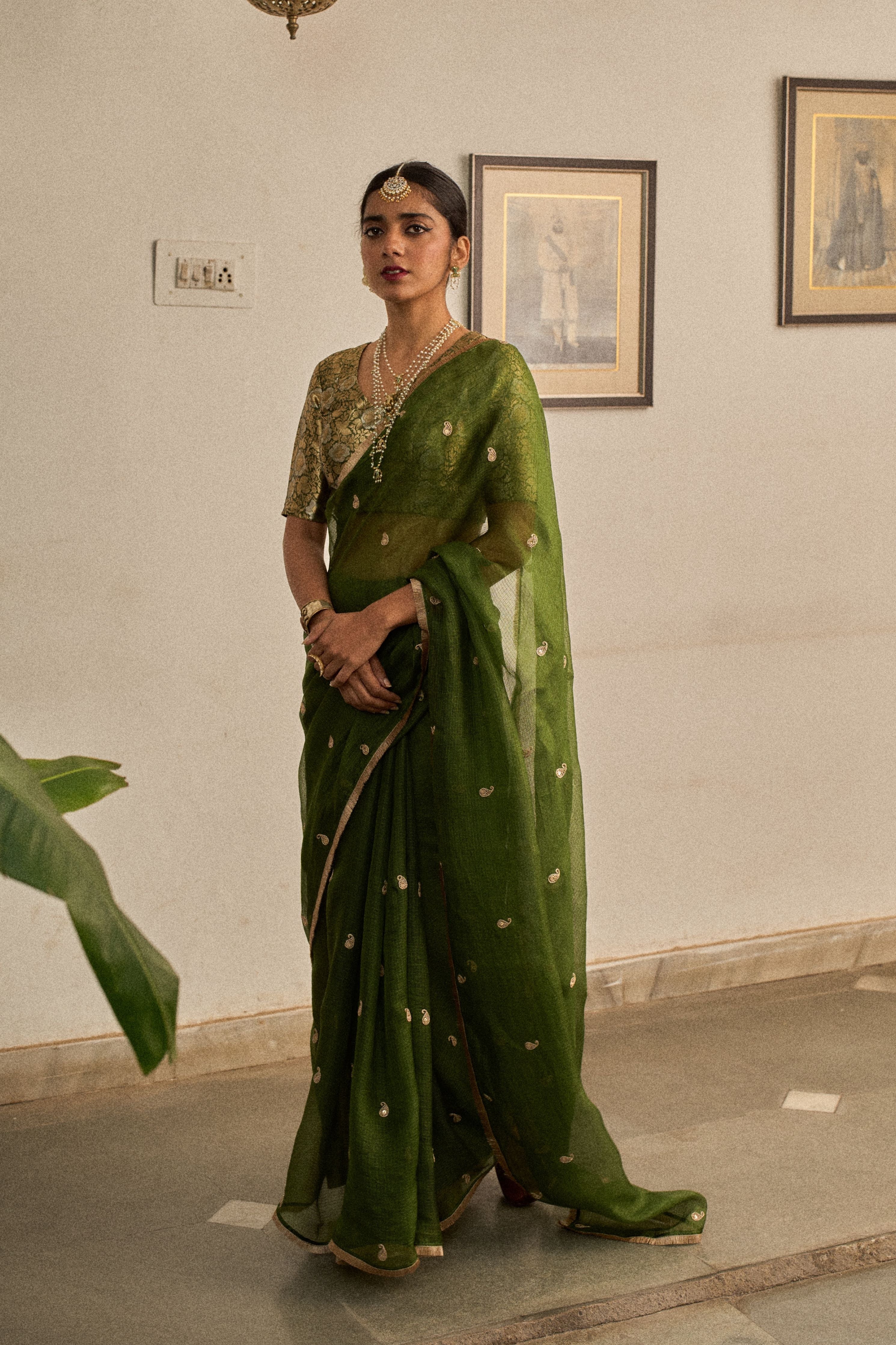 Panna kota Saree