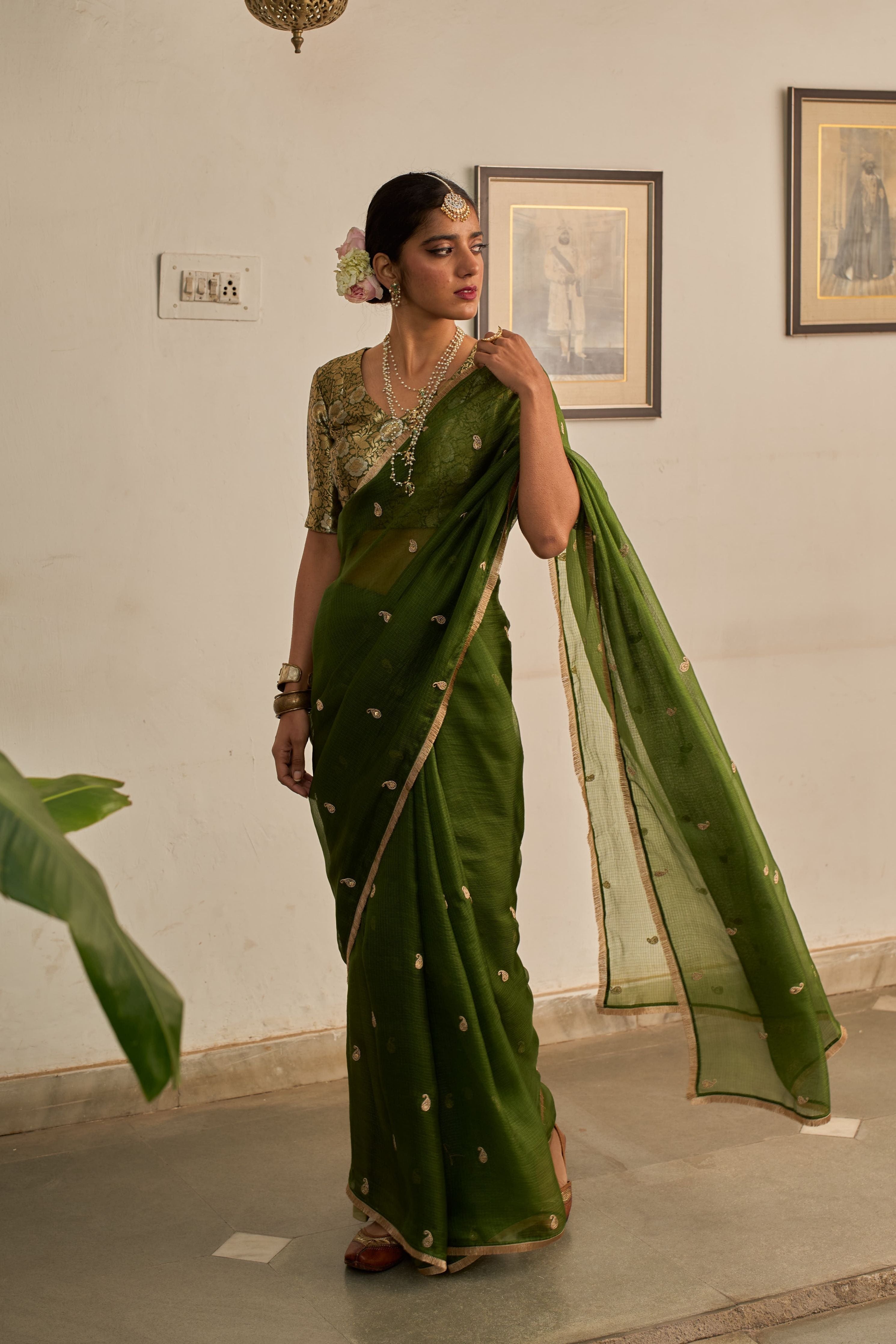 Panna kota Saree