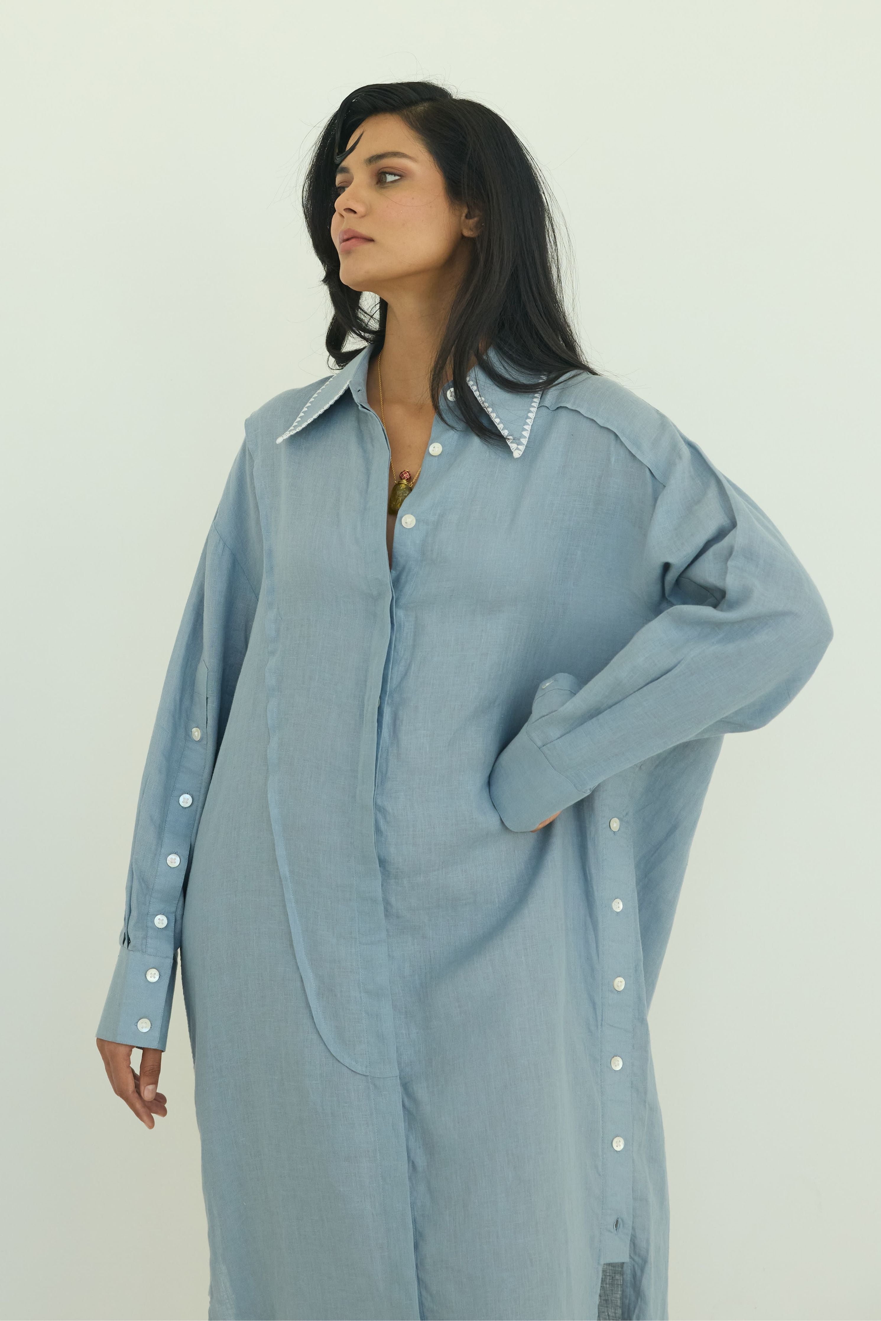 Blue Anastasia Button Down Dress