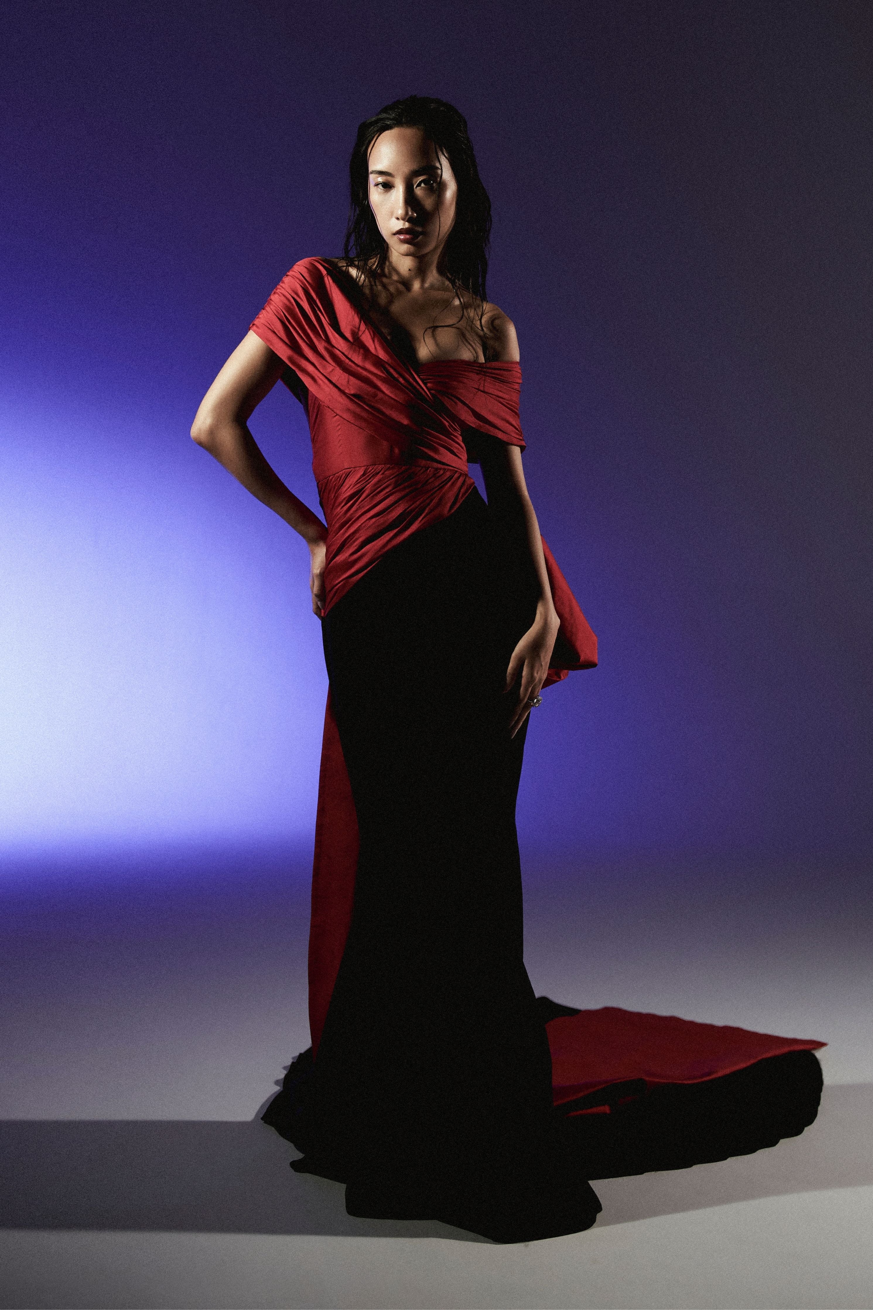 Dual Tone Long Trumpet Gown