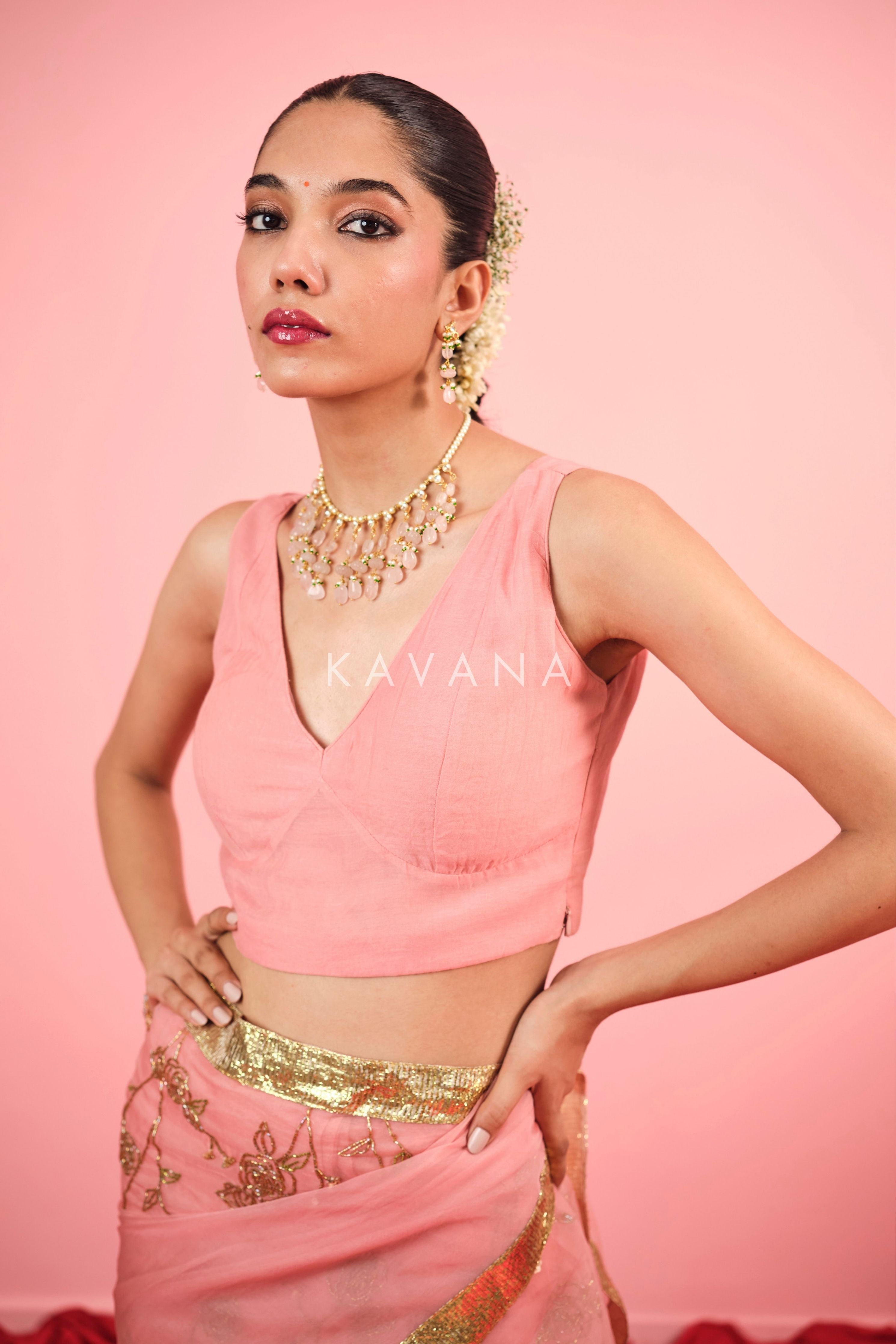 Naz Silk Organza Sari