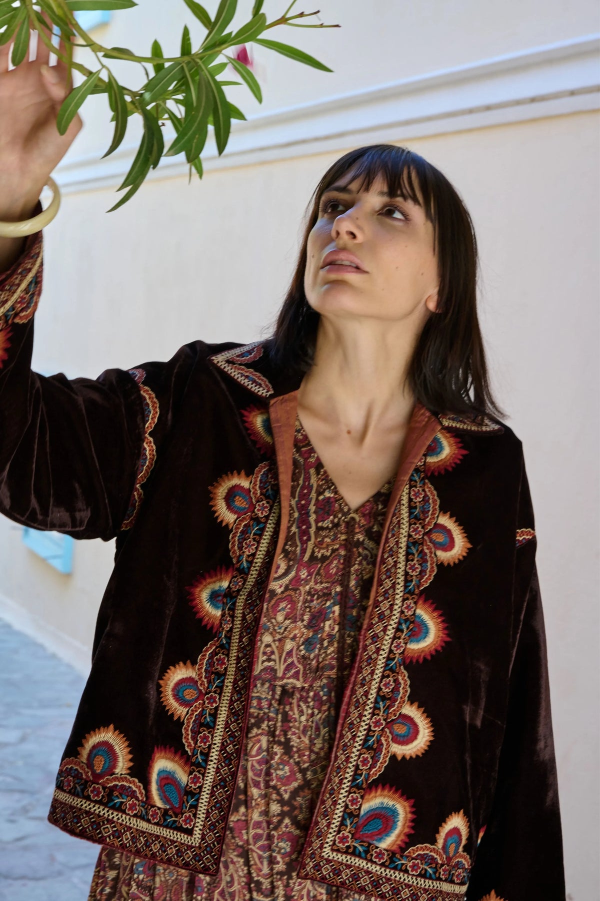 Brown Velvet Embroidered Jacket
