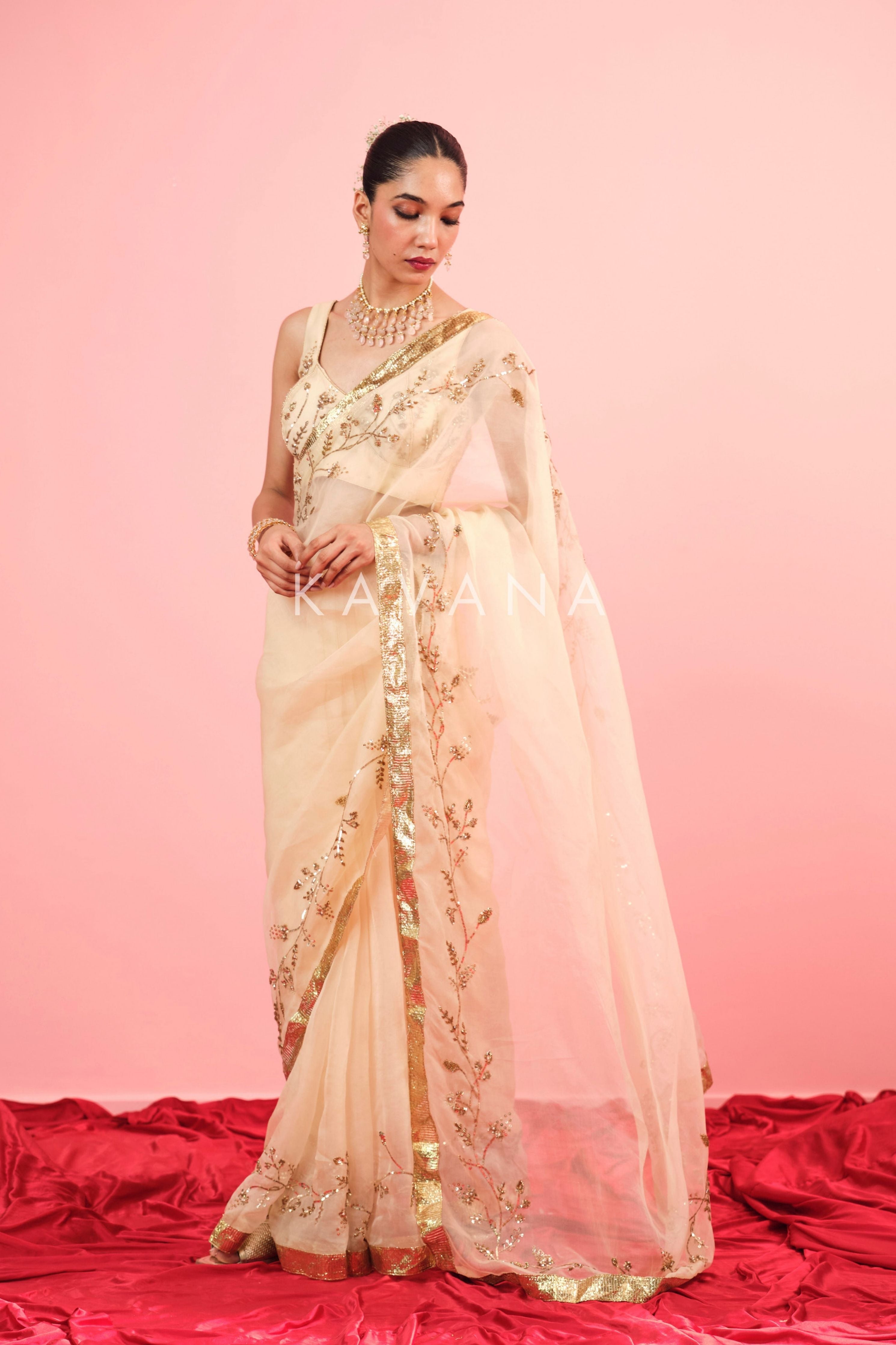 Ruhani Silk Organza Sari