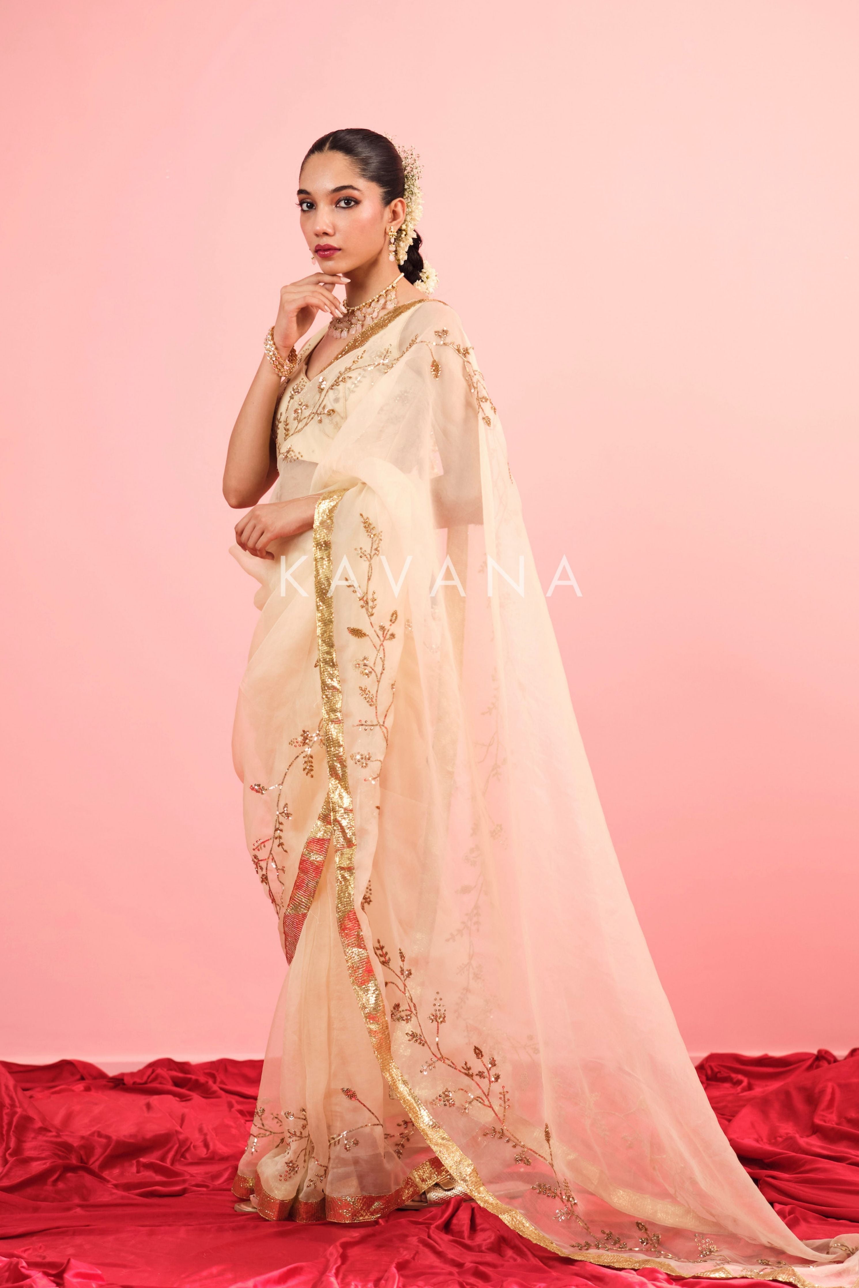 Ruhani Silk Organza Sari