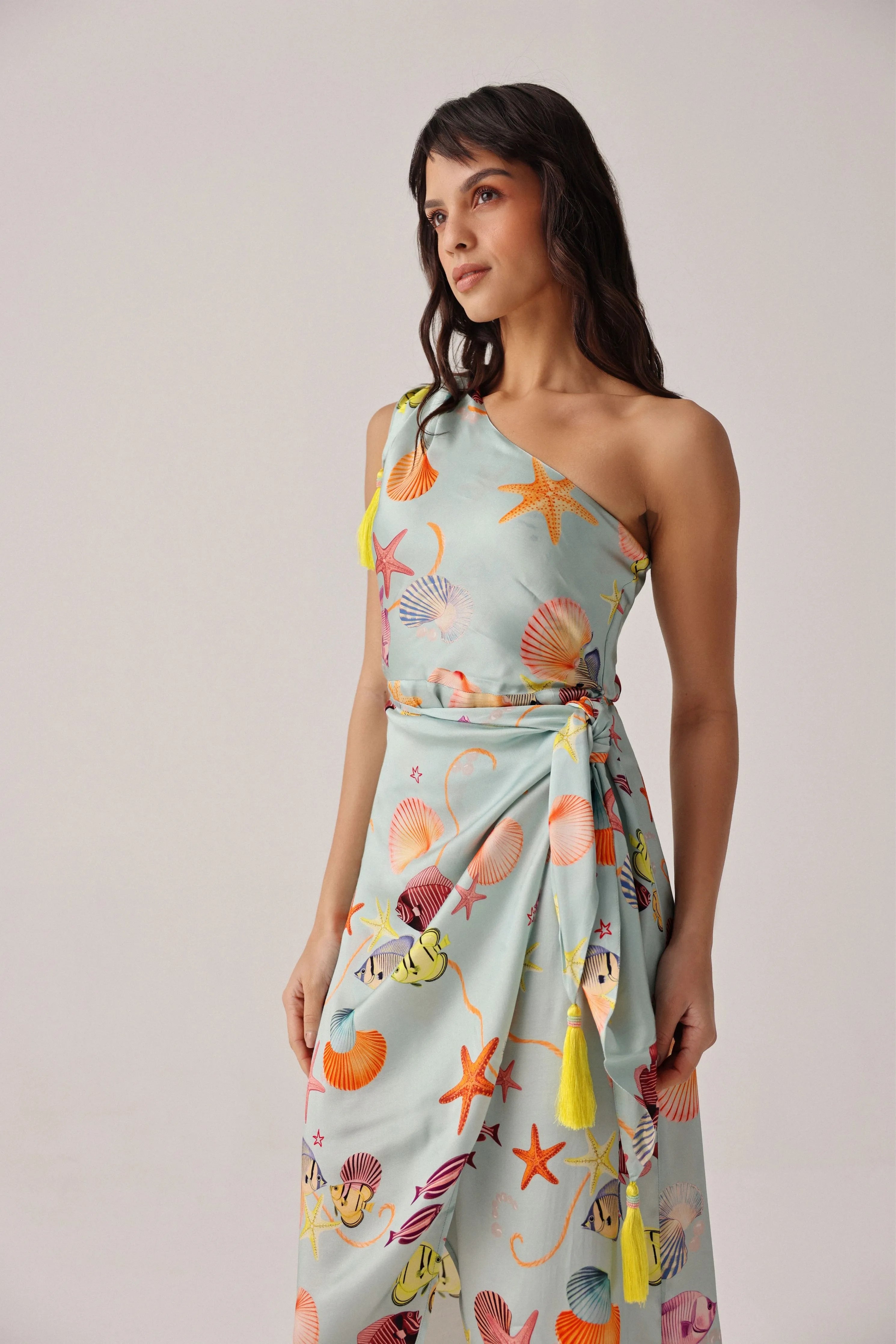 Isla Midi Seaborn Dress