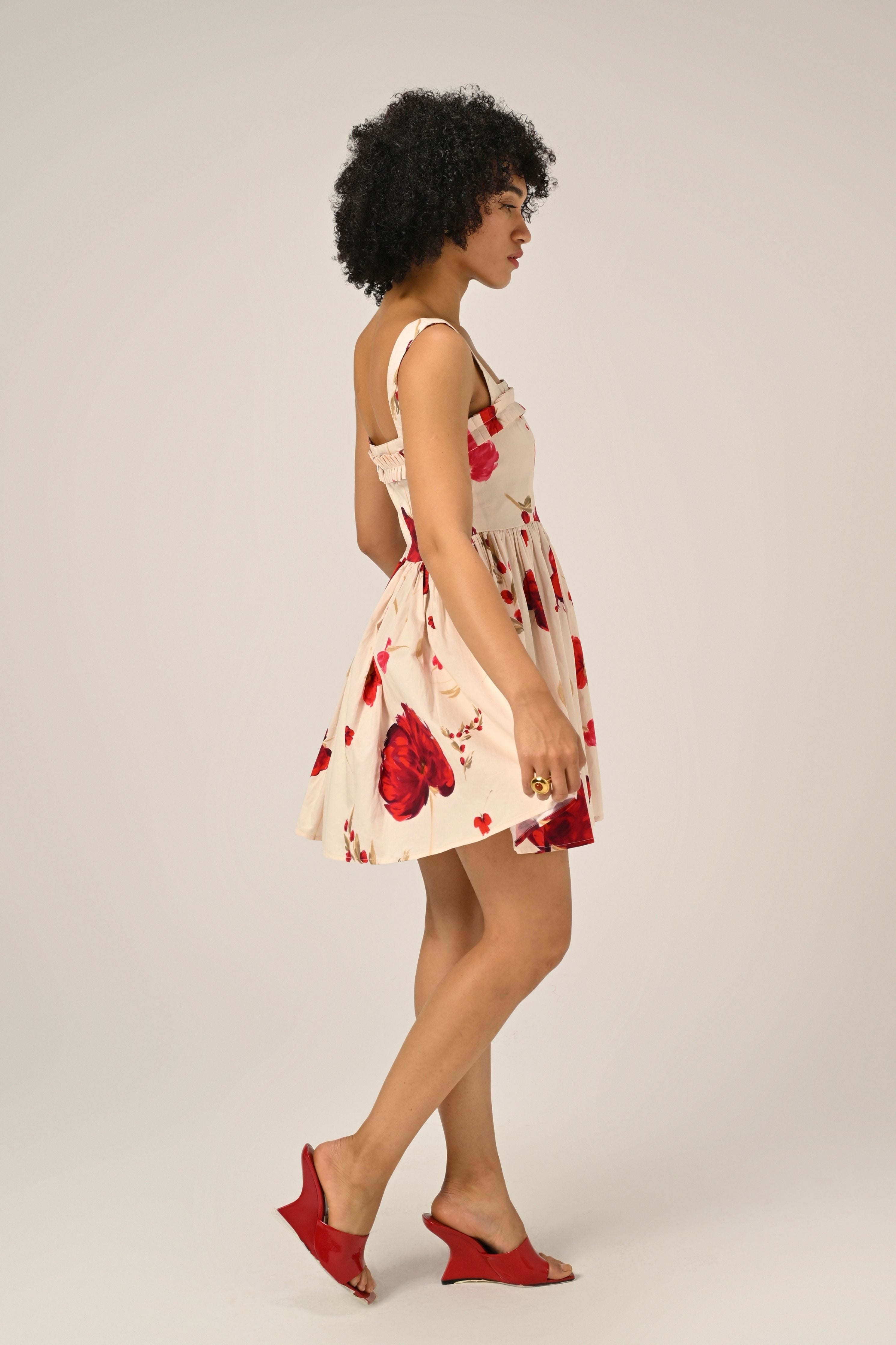 Scarlet Meadow Mini Dress