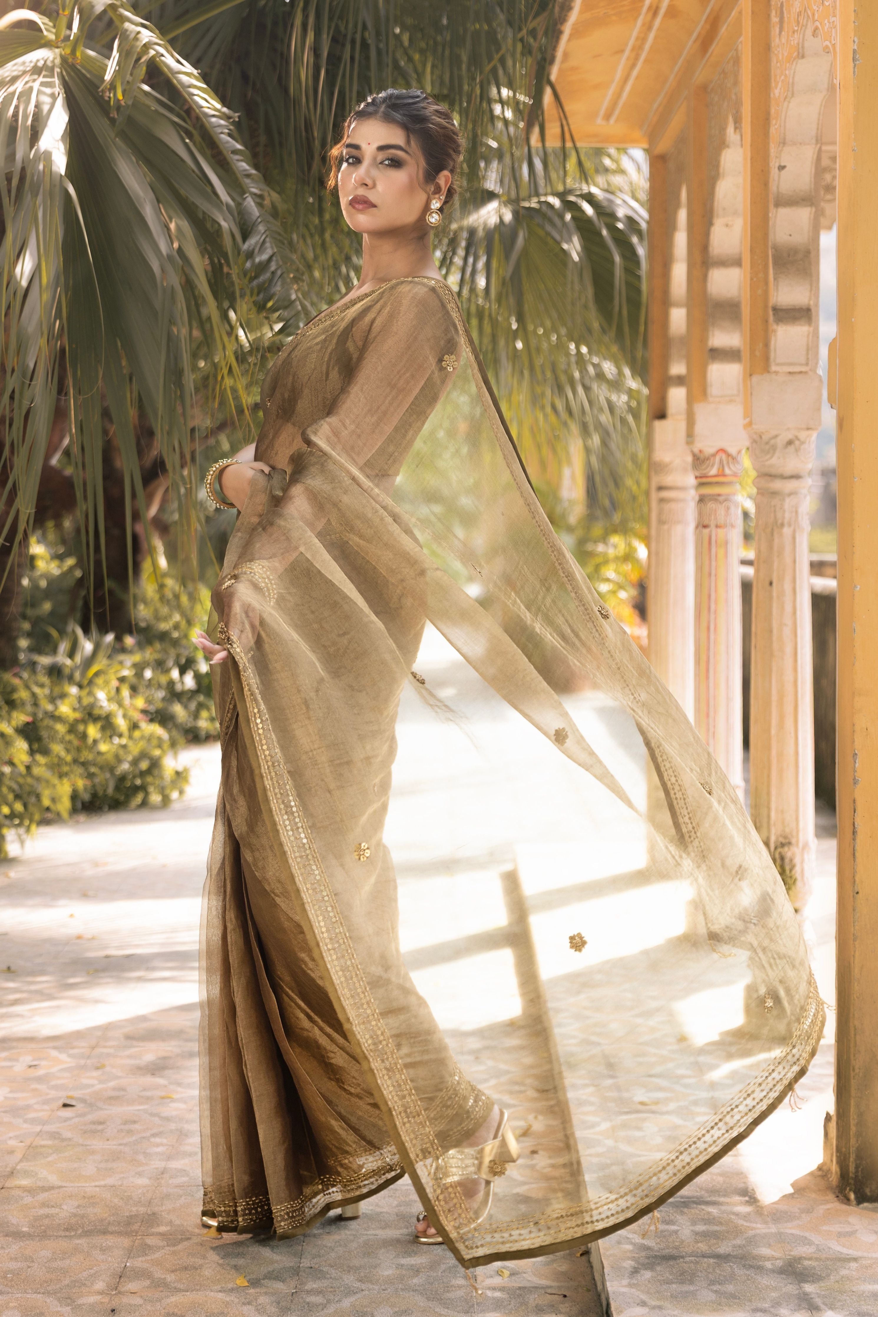Brown Pre- Draped Saree