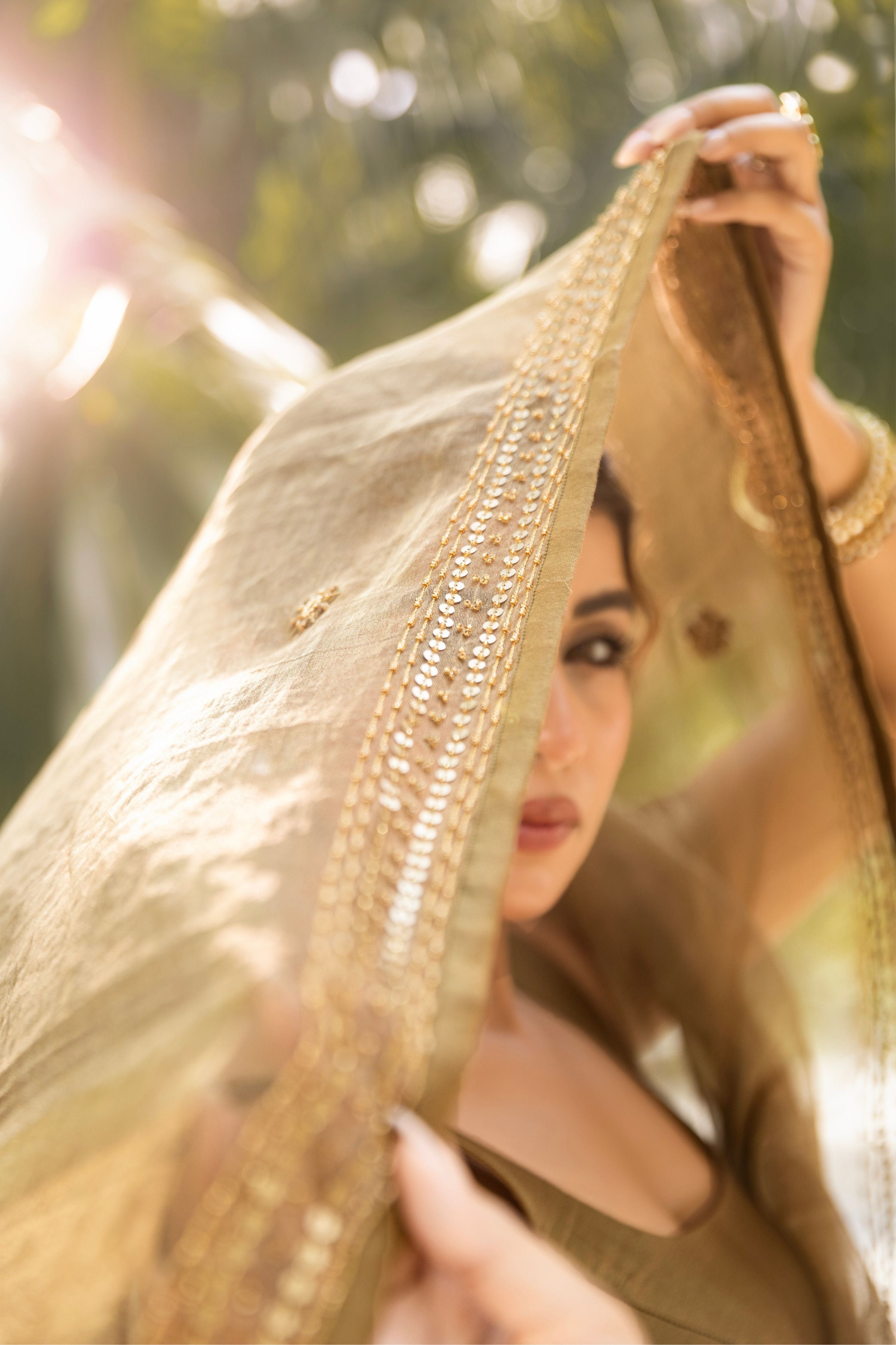 Brown Pre- Draped Saree