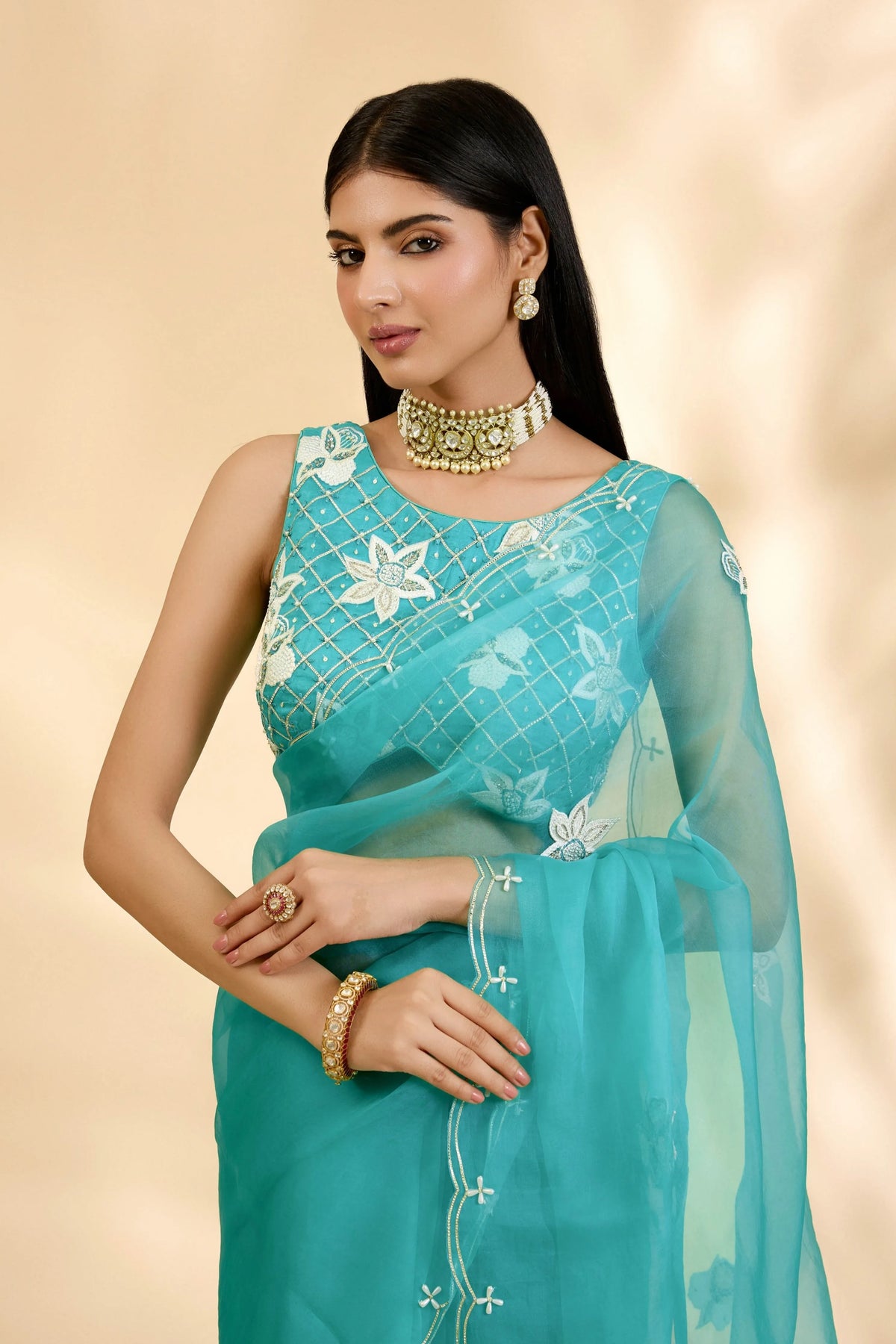 Firozi Nargis Embellished Sari Set