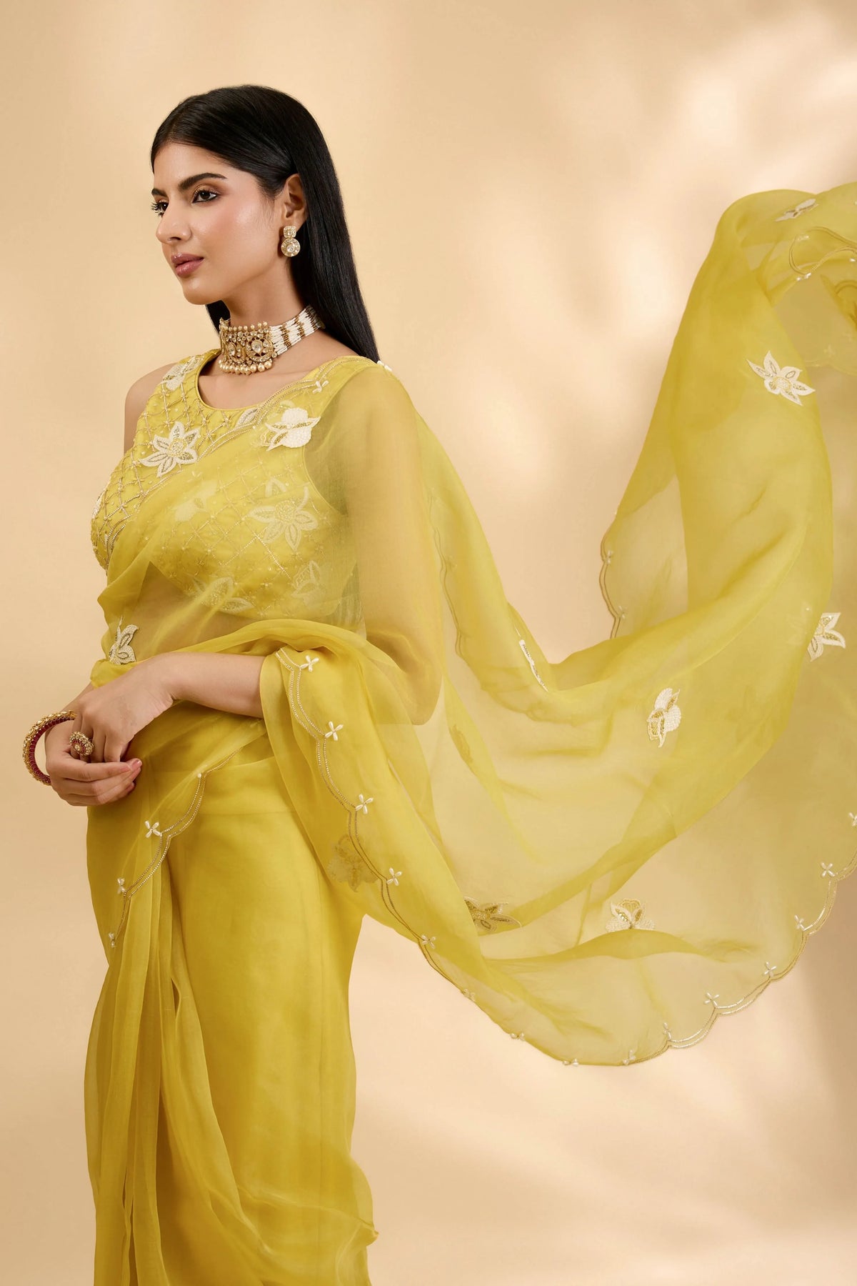 Kesar Nargis Embellished Sari Set