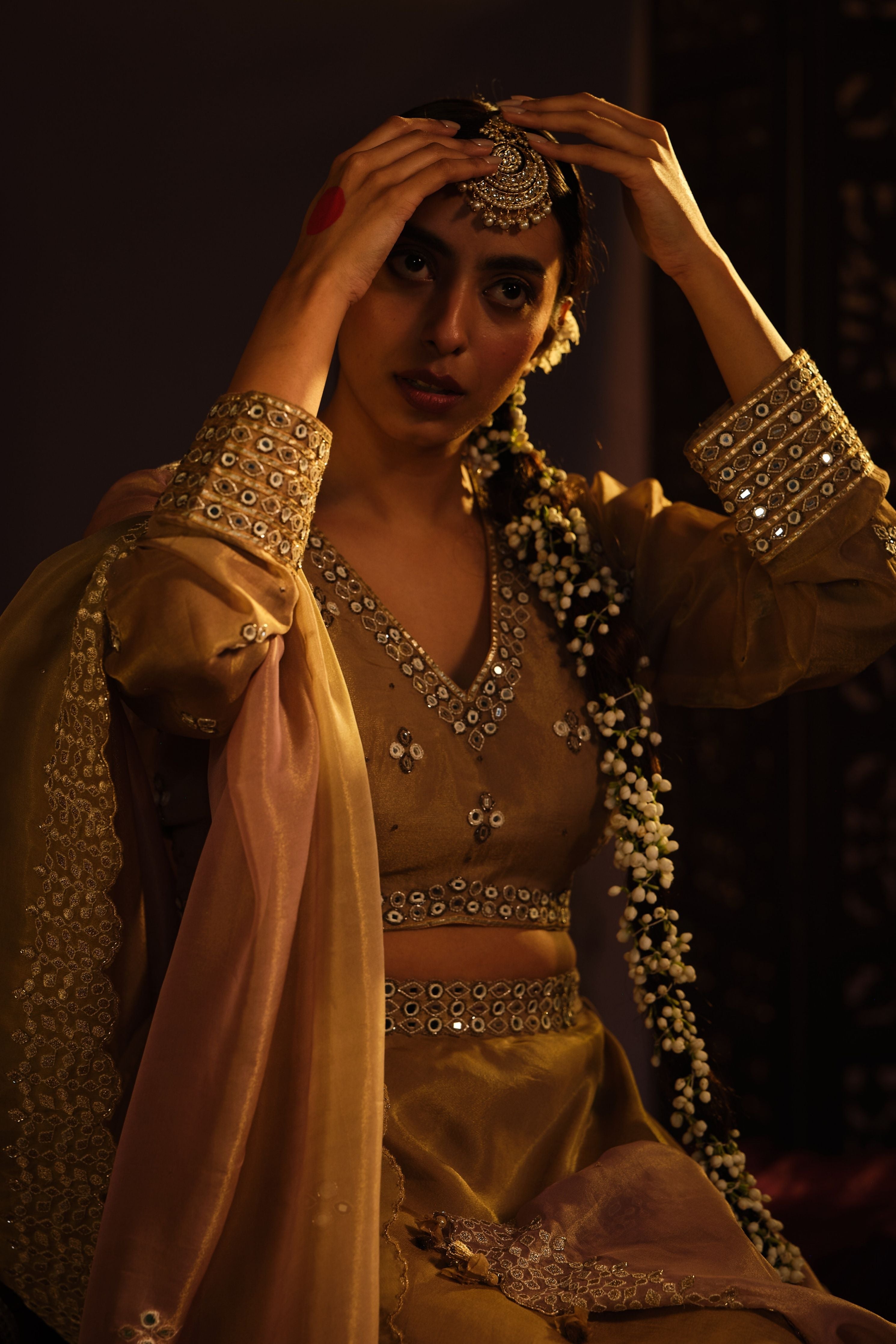 Brown Mirror Lehanga Set