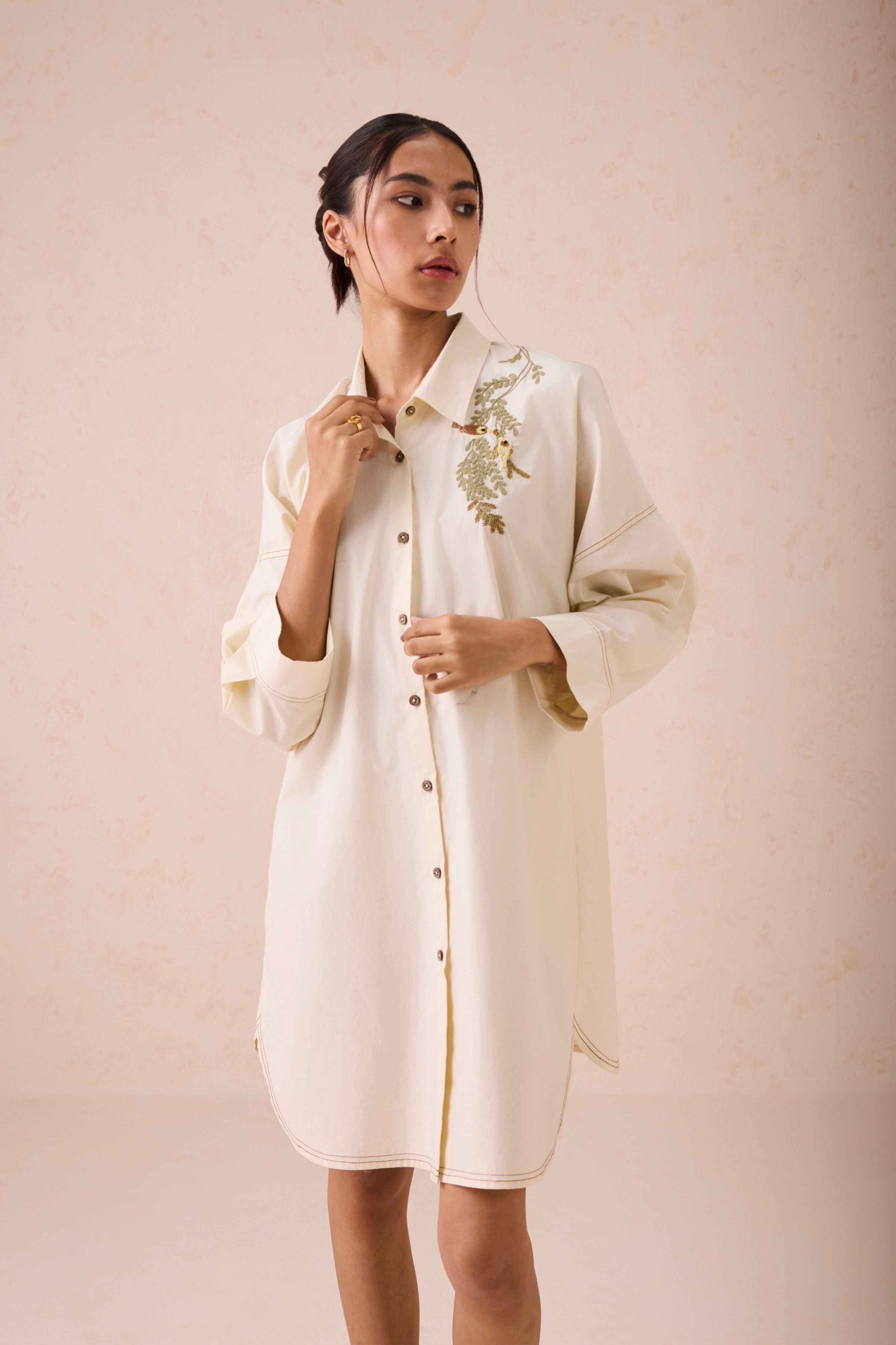 The Vista Everyday Classic Shirt Dress