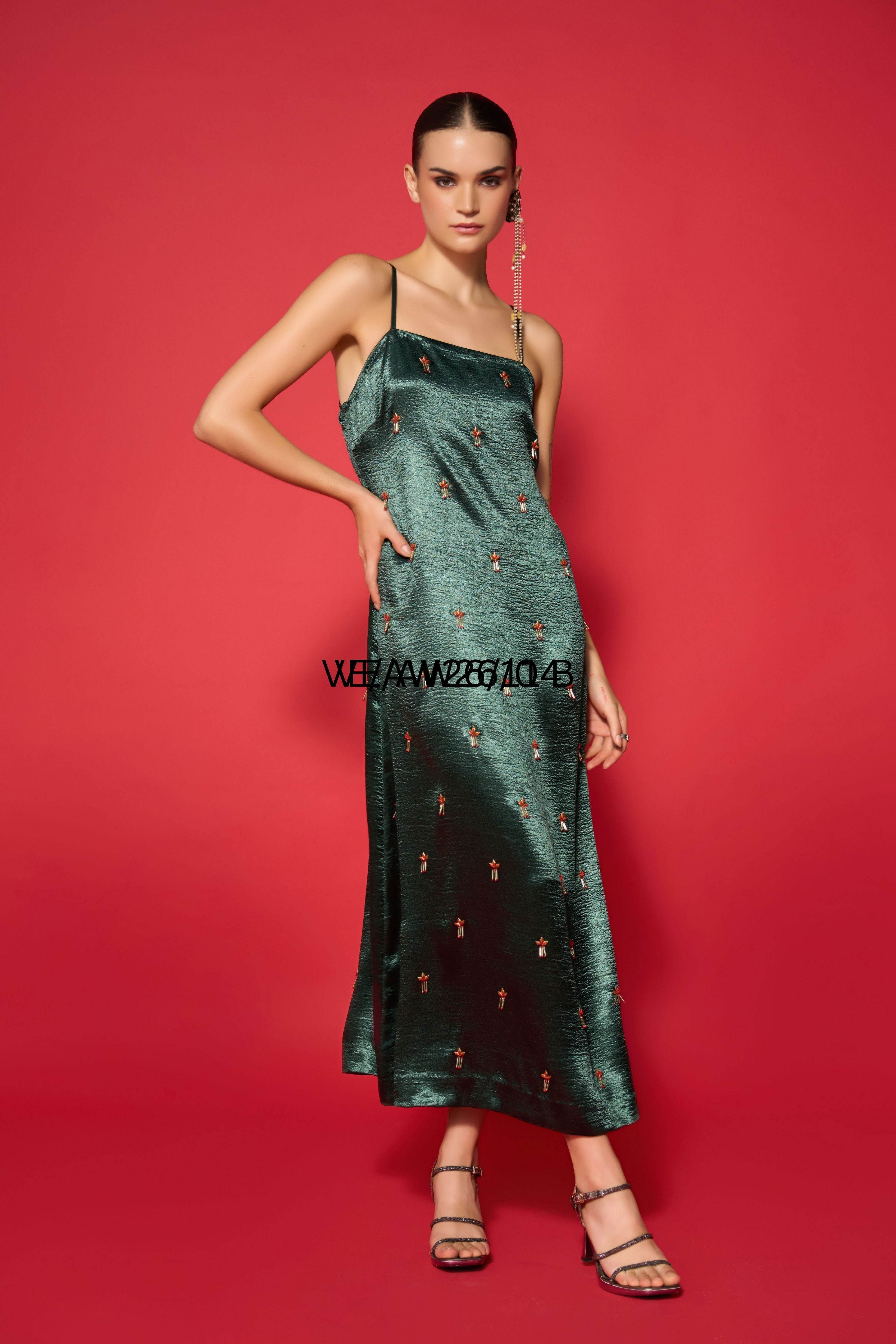 Kelly Embroidered Dress