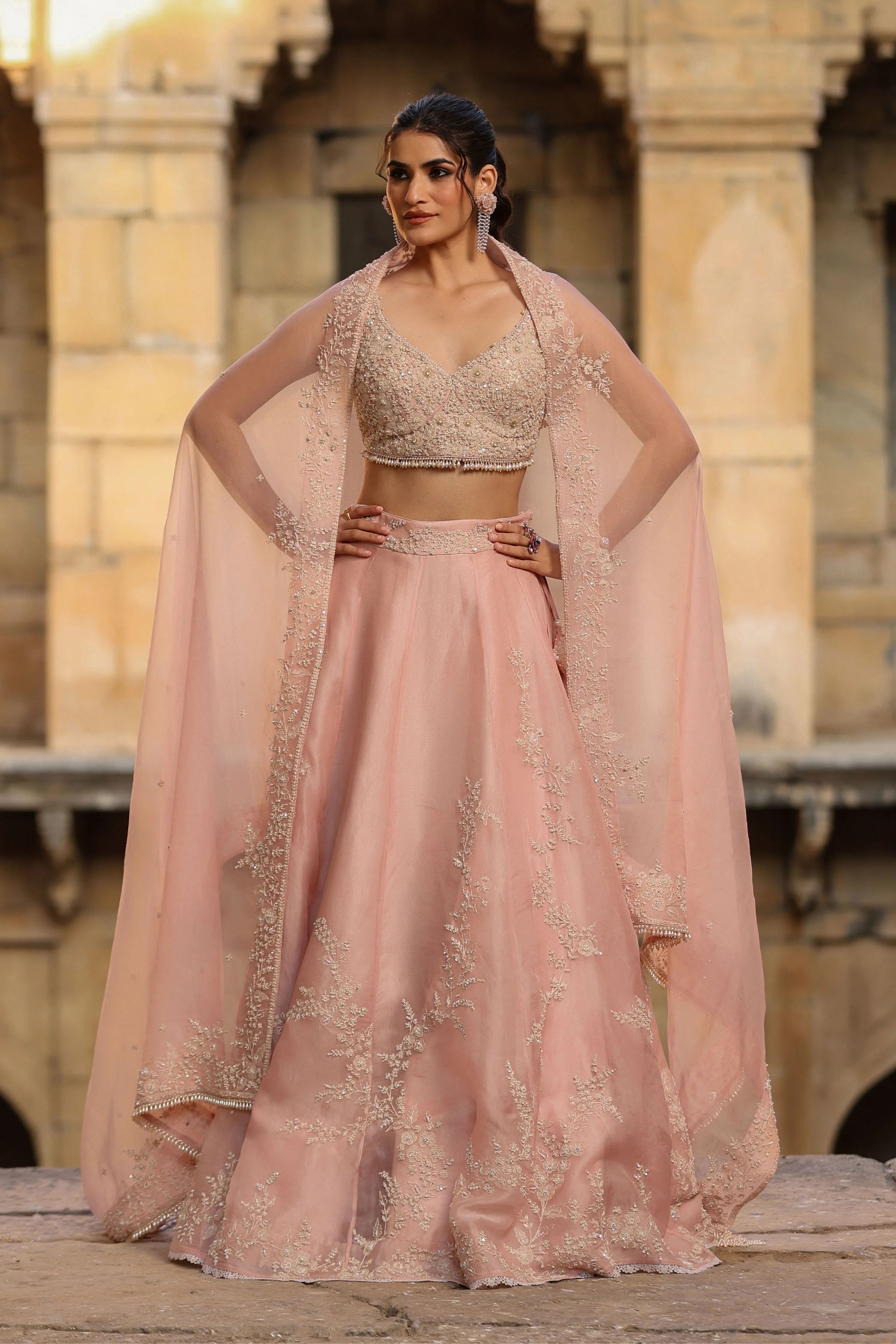 Vaayu Light Pink Jaal Lehenga Set
