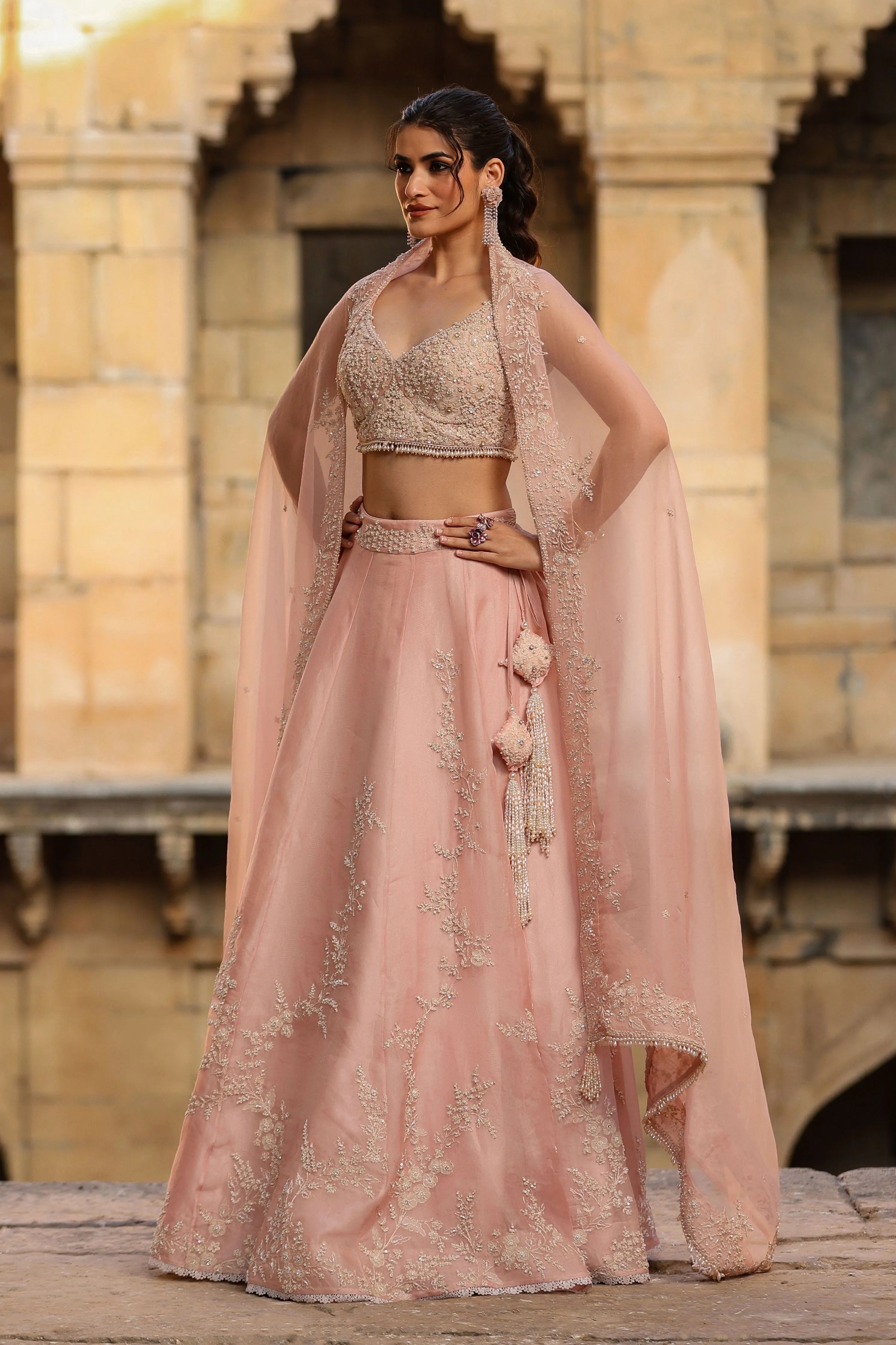 Vaayu Light Pink Jaal Lehenga Set