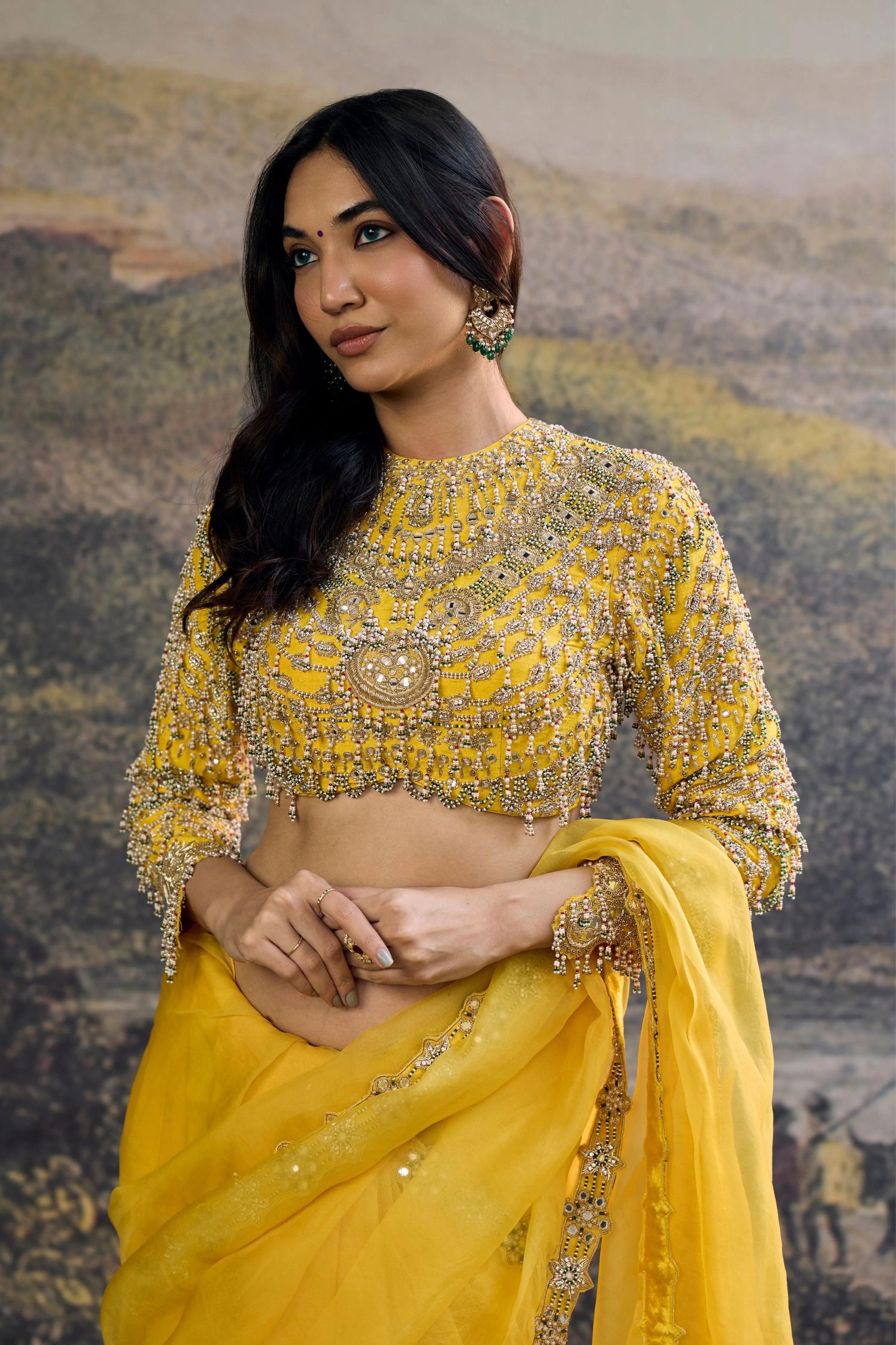 Peela Tara Organza Saree Set