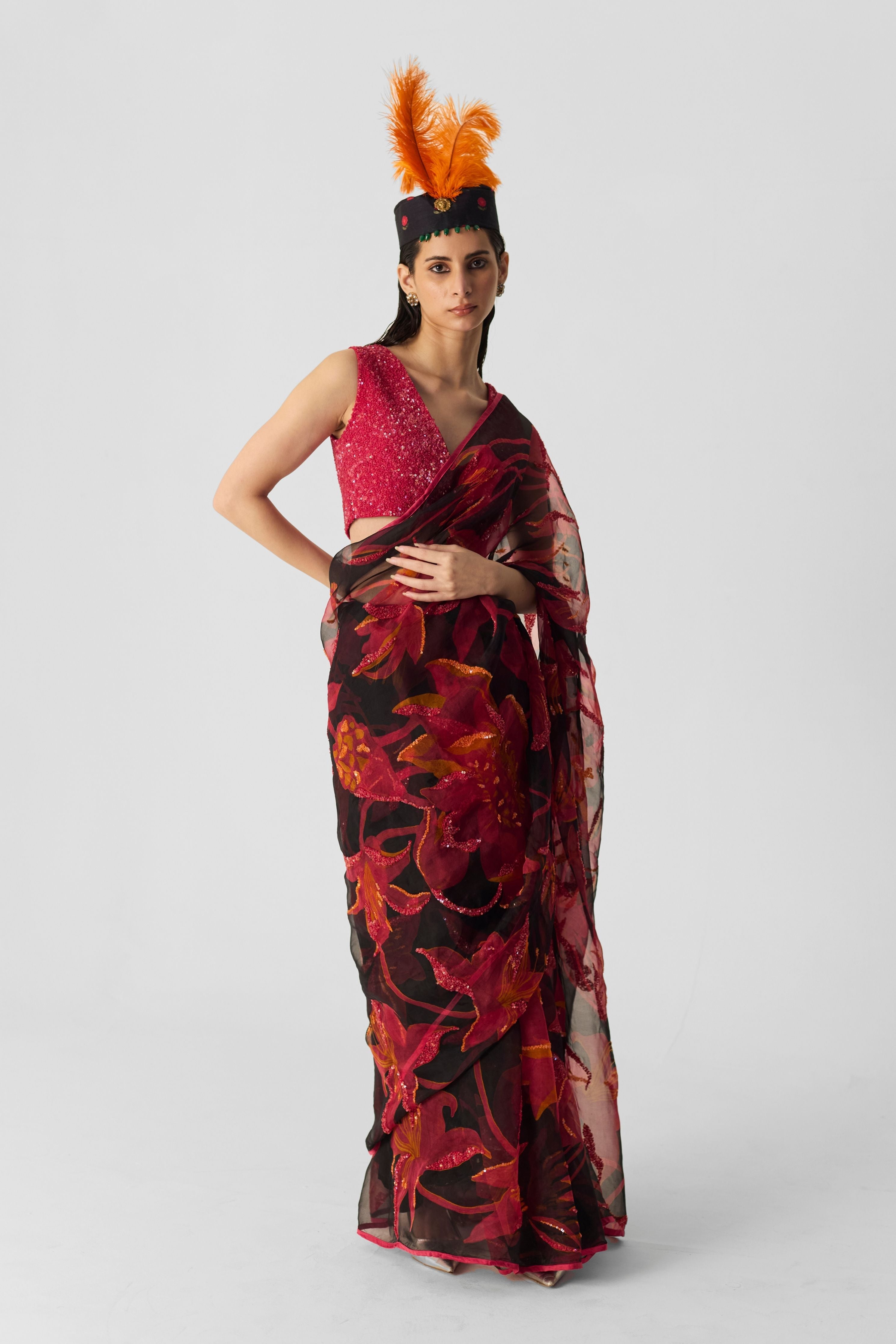 Lian Embroidered Saree