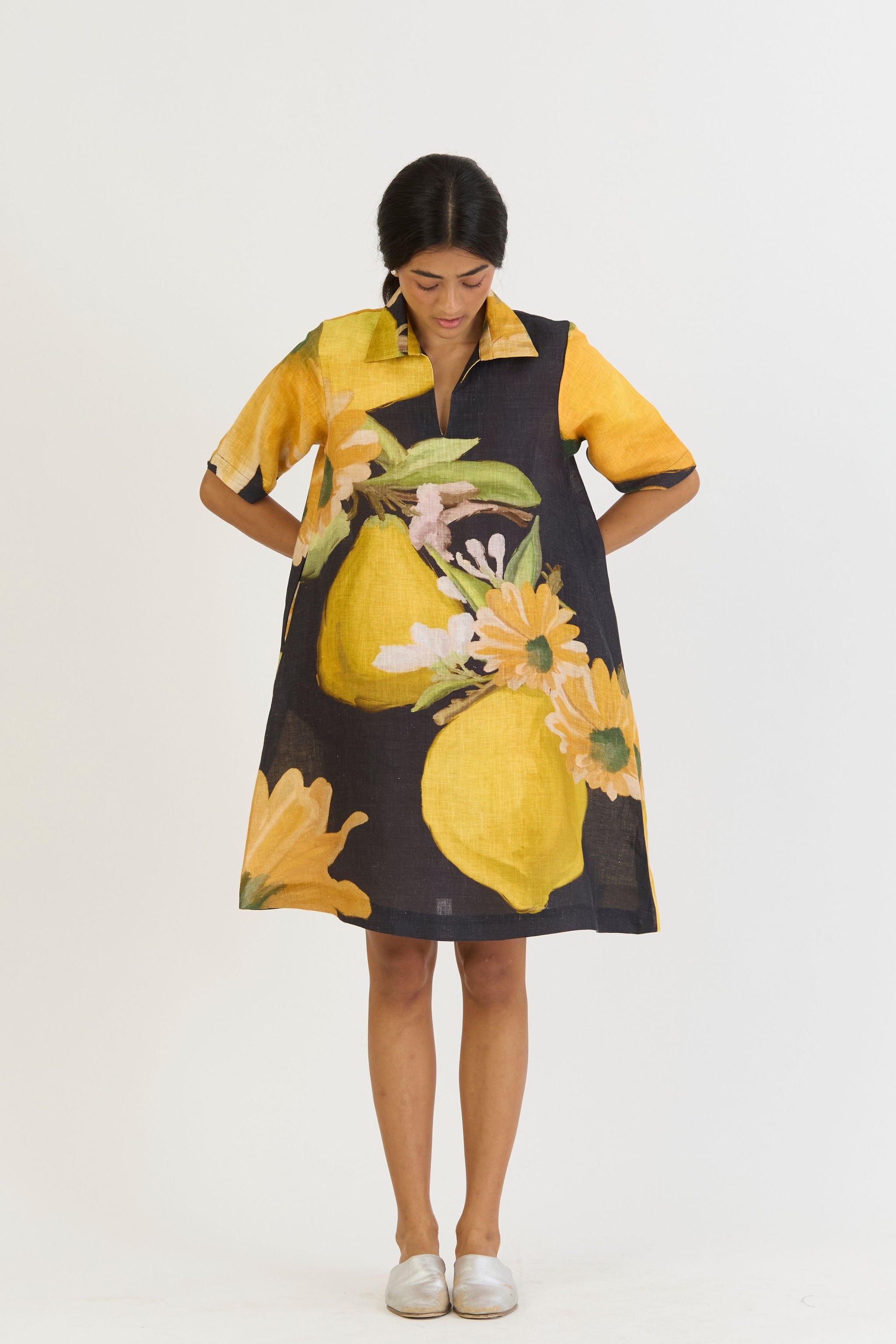 Pomello Short Collared Dress