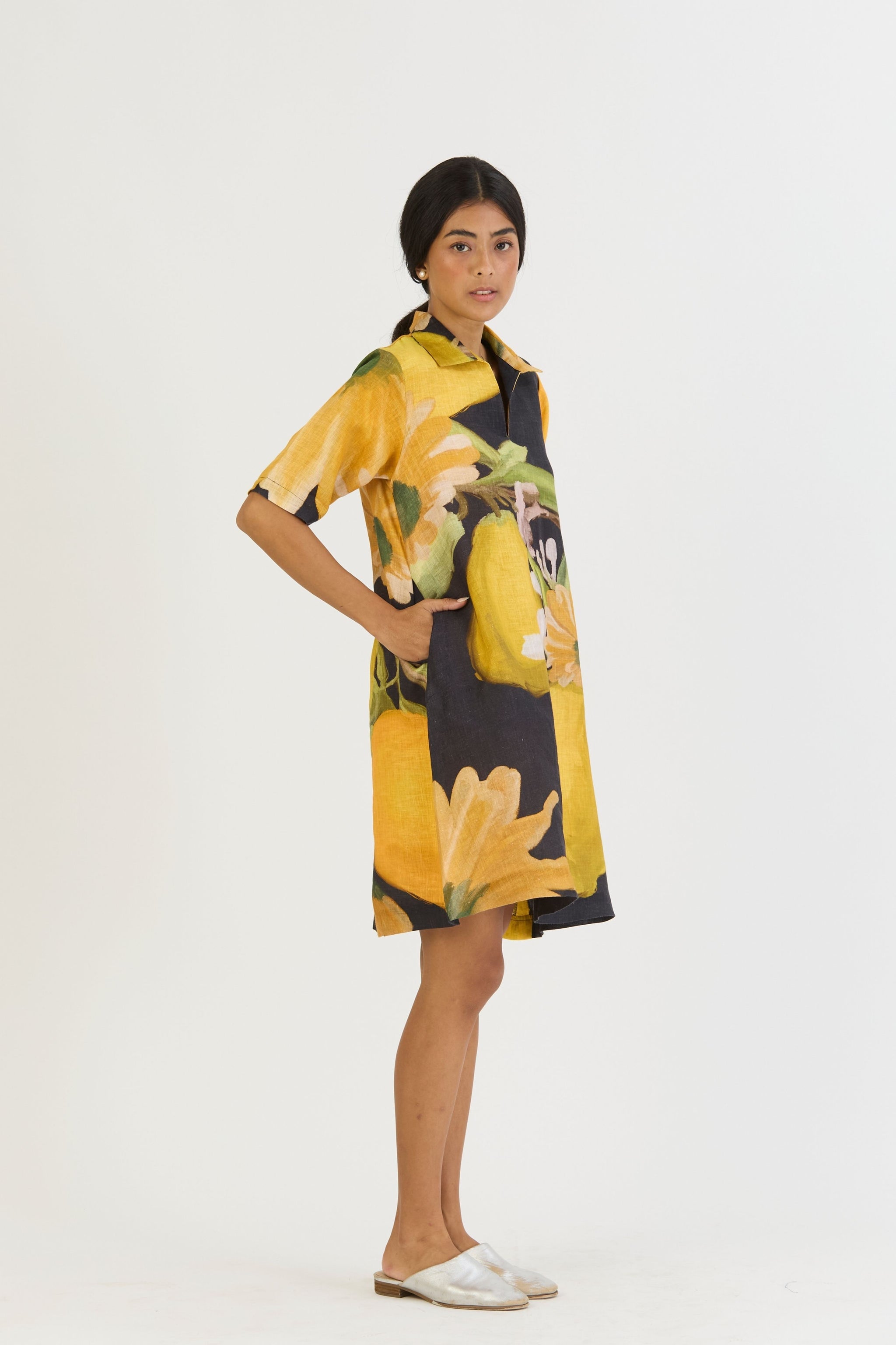 Pomello Short Collared Dress