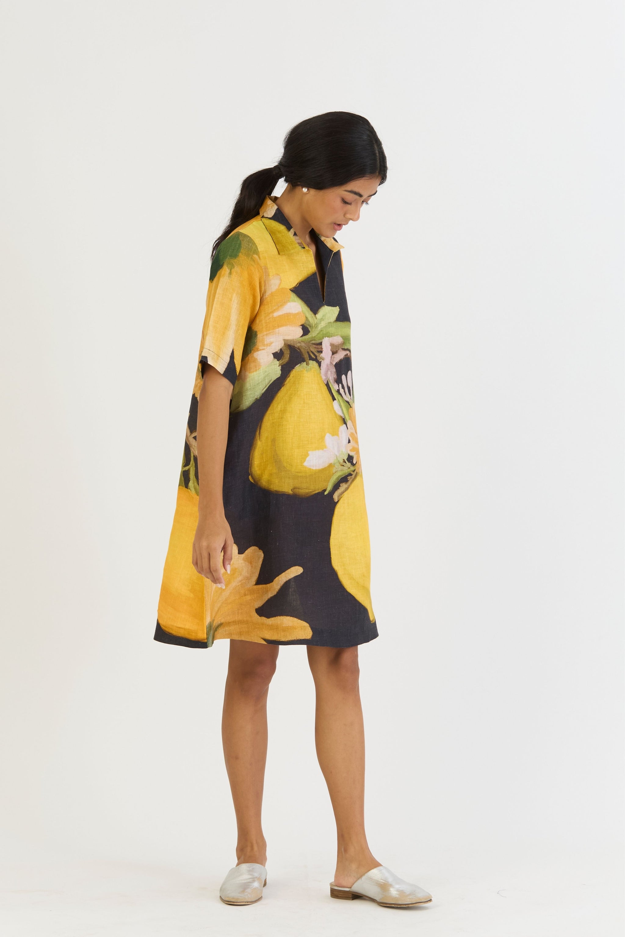 Pomello Short Collared Dress