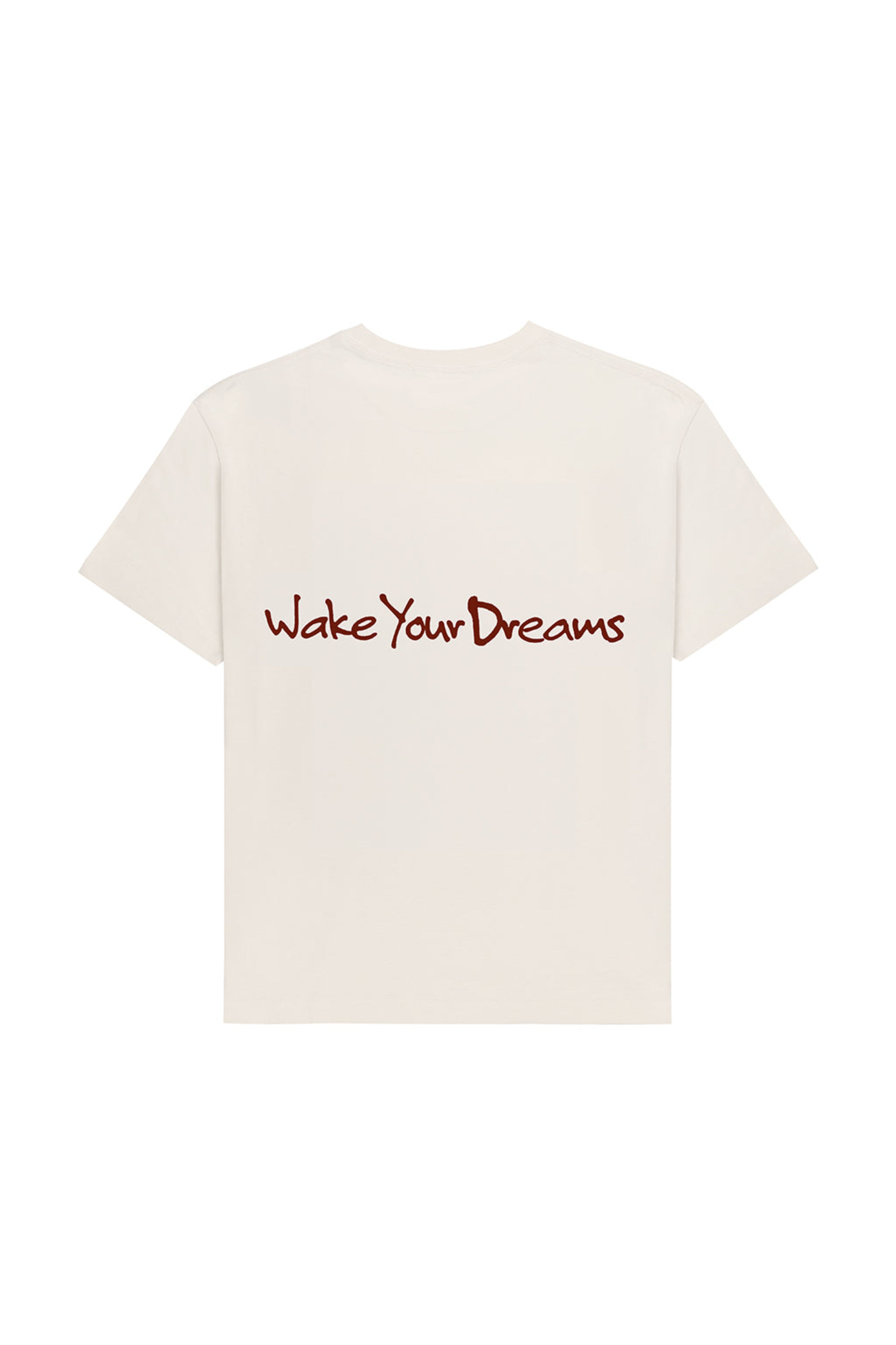 STORIES FORETOLD ARTIST T - SHIRT