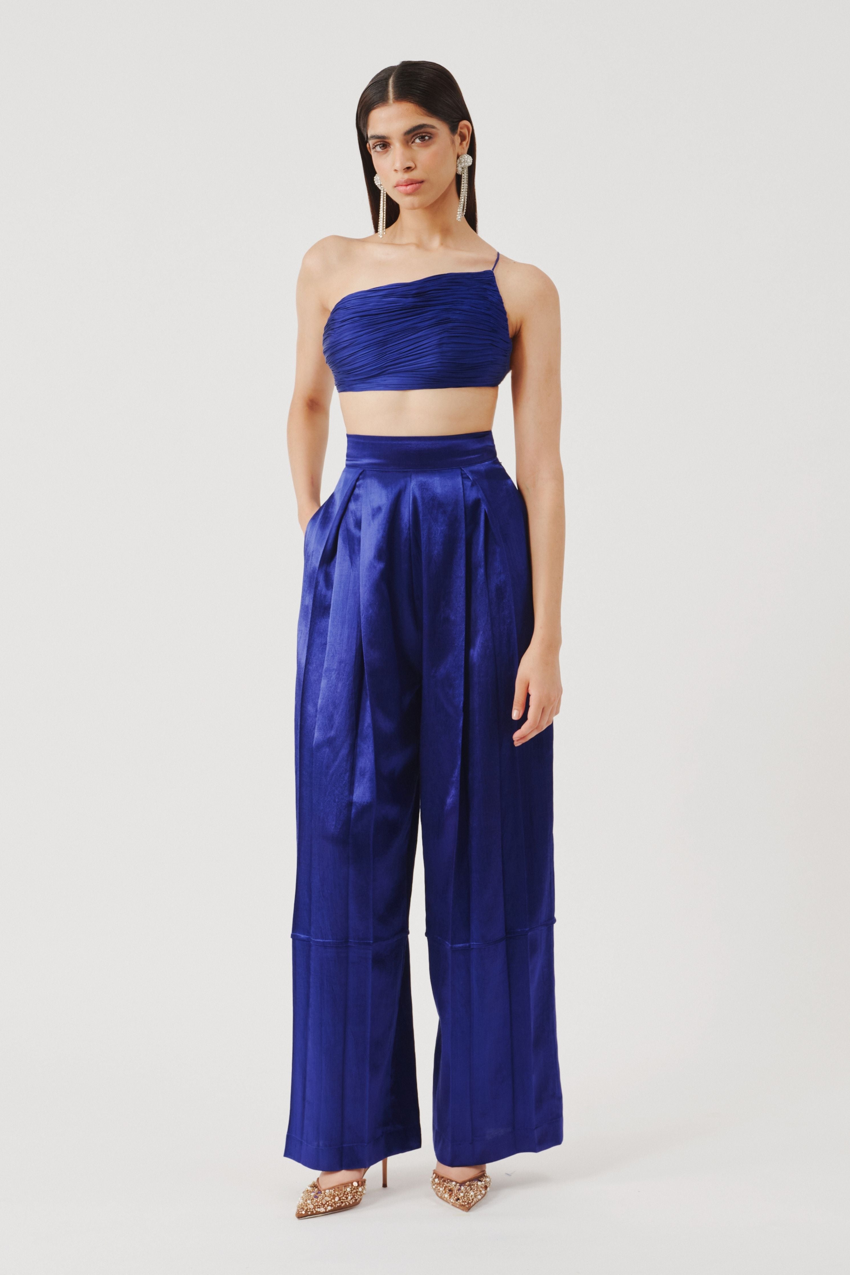 Boulevard Pleated Pants In Blue