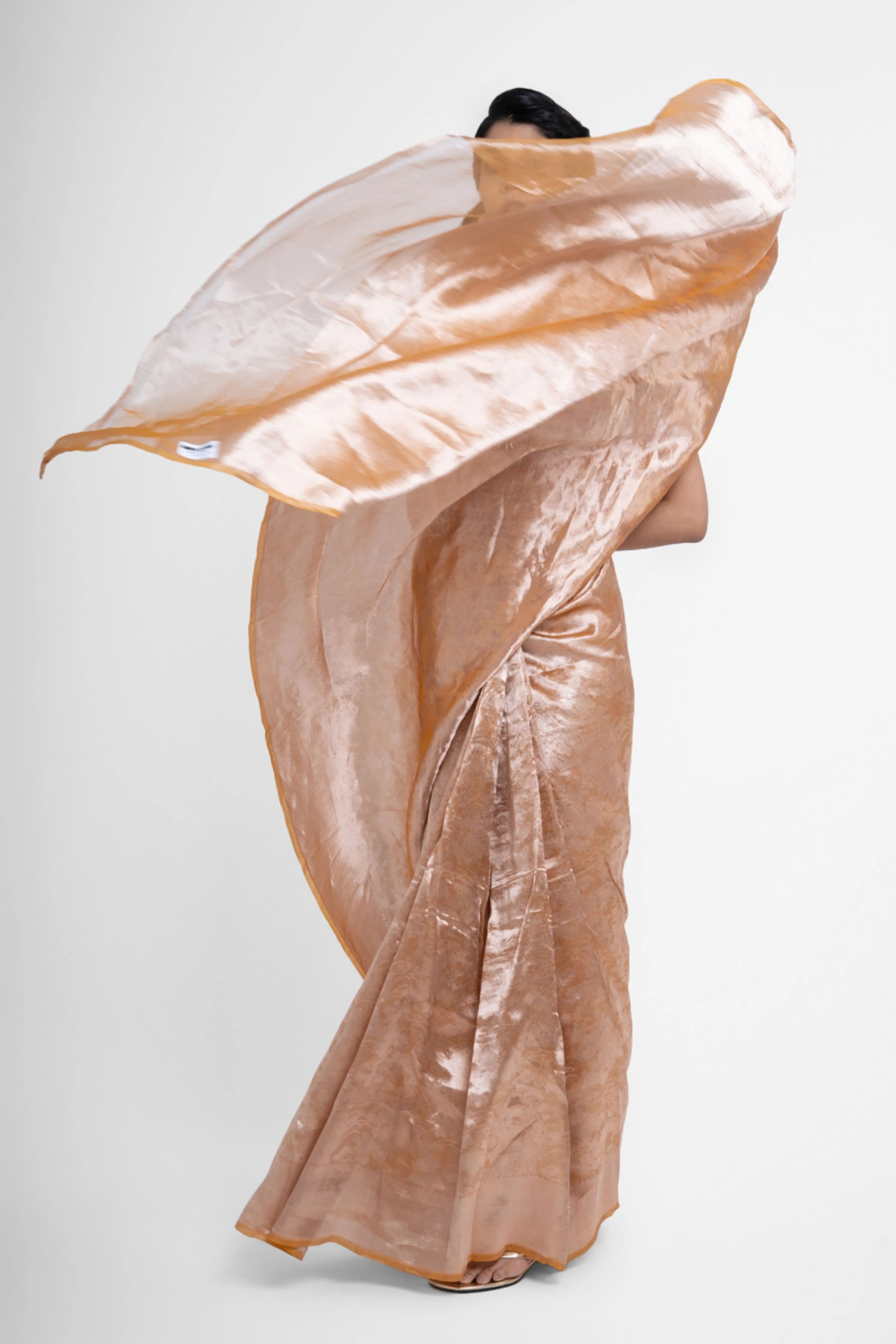 Sona Pure Tissue Silk Saree