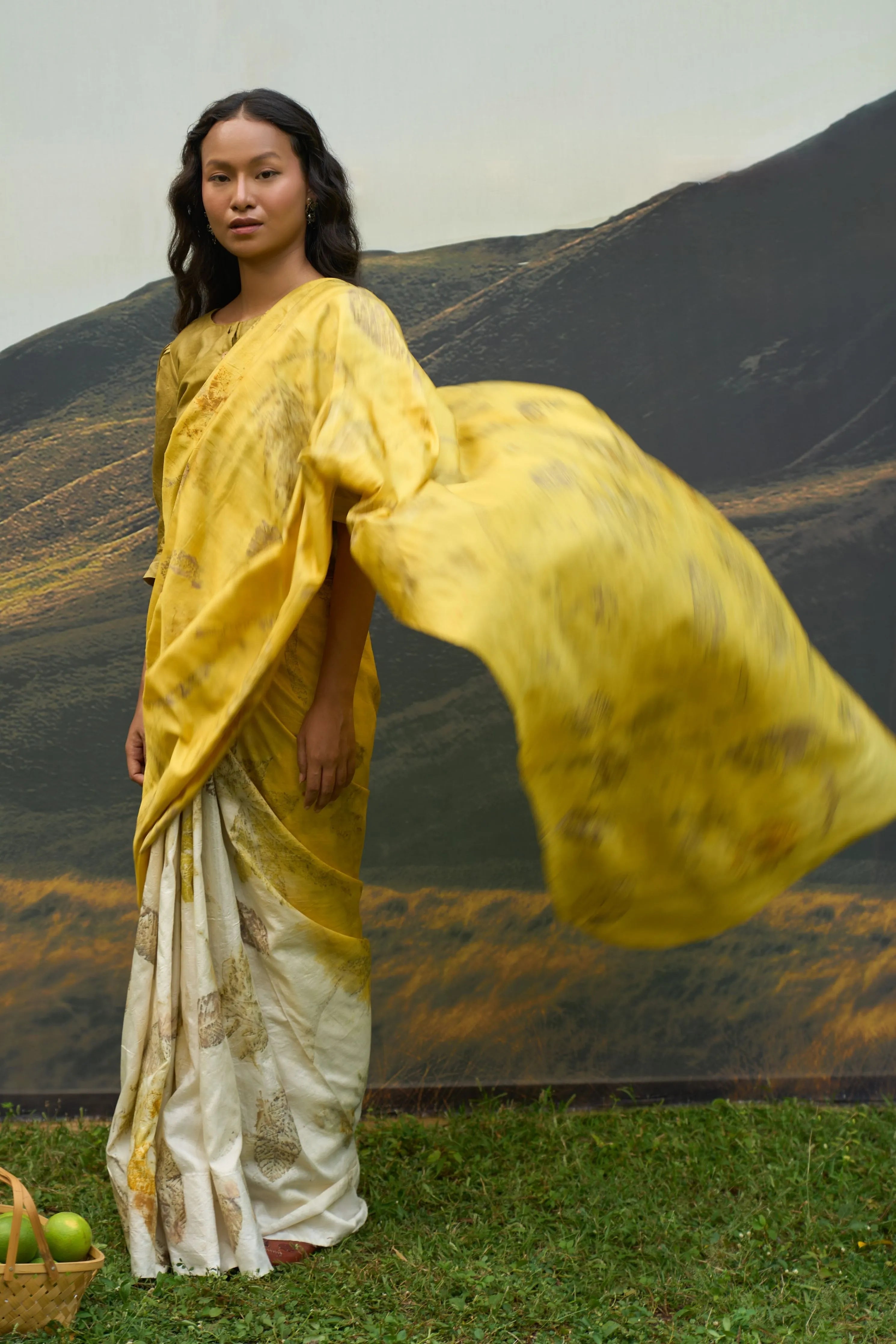 Yellow Saree