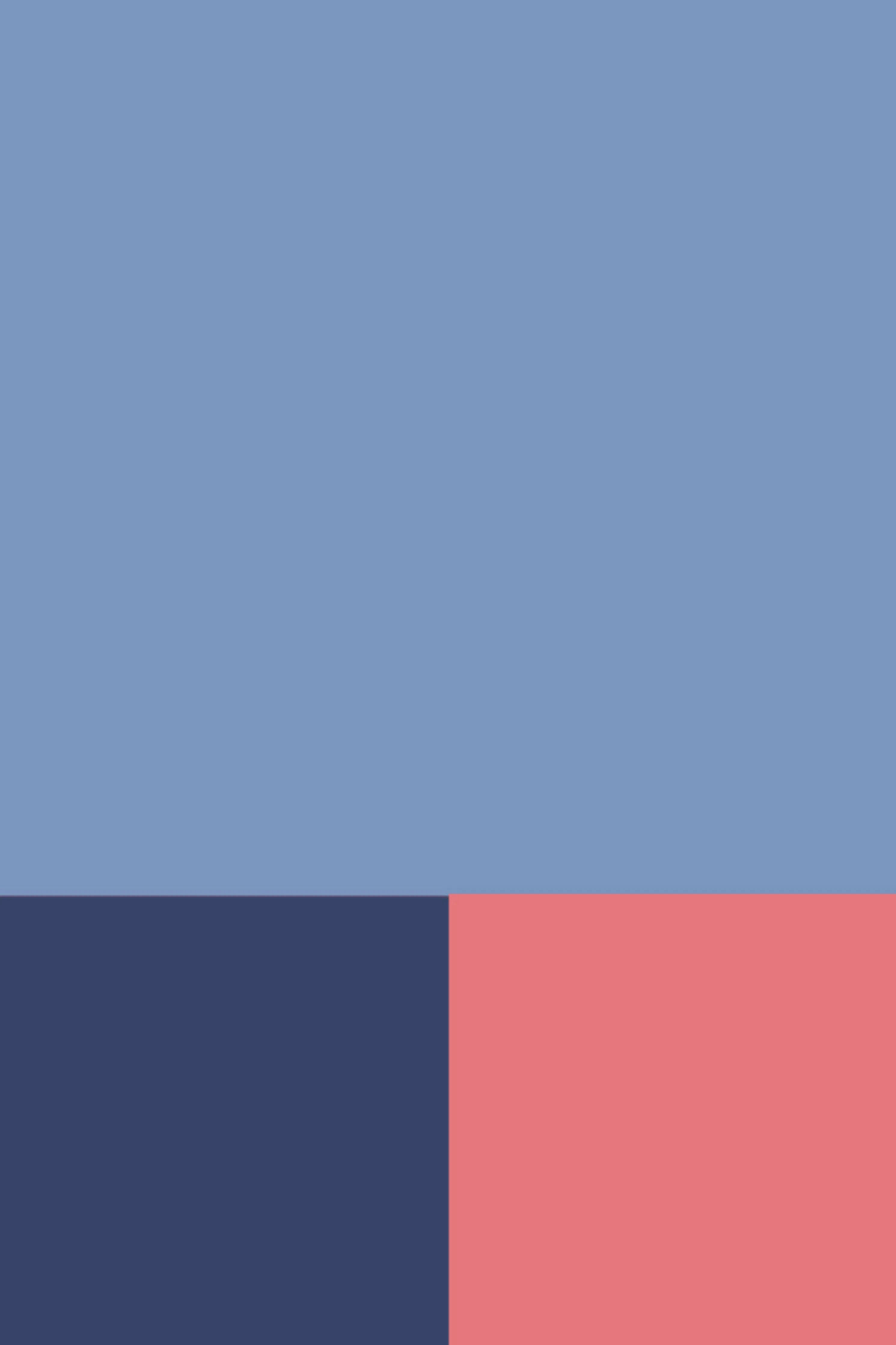 Rido Blue Shoes