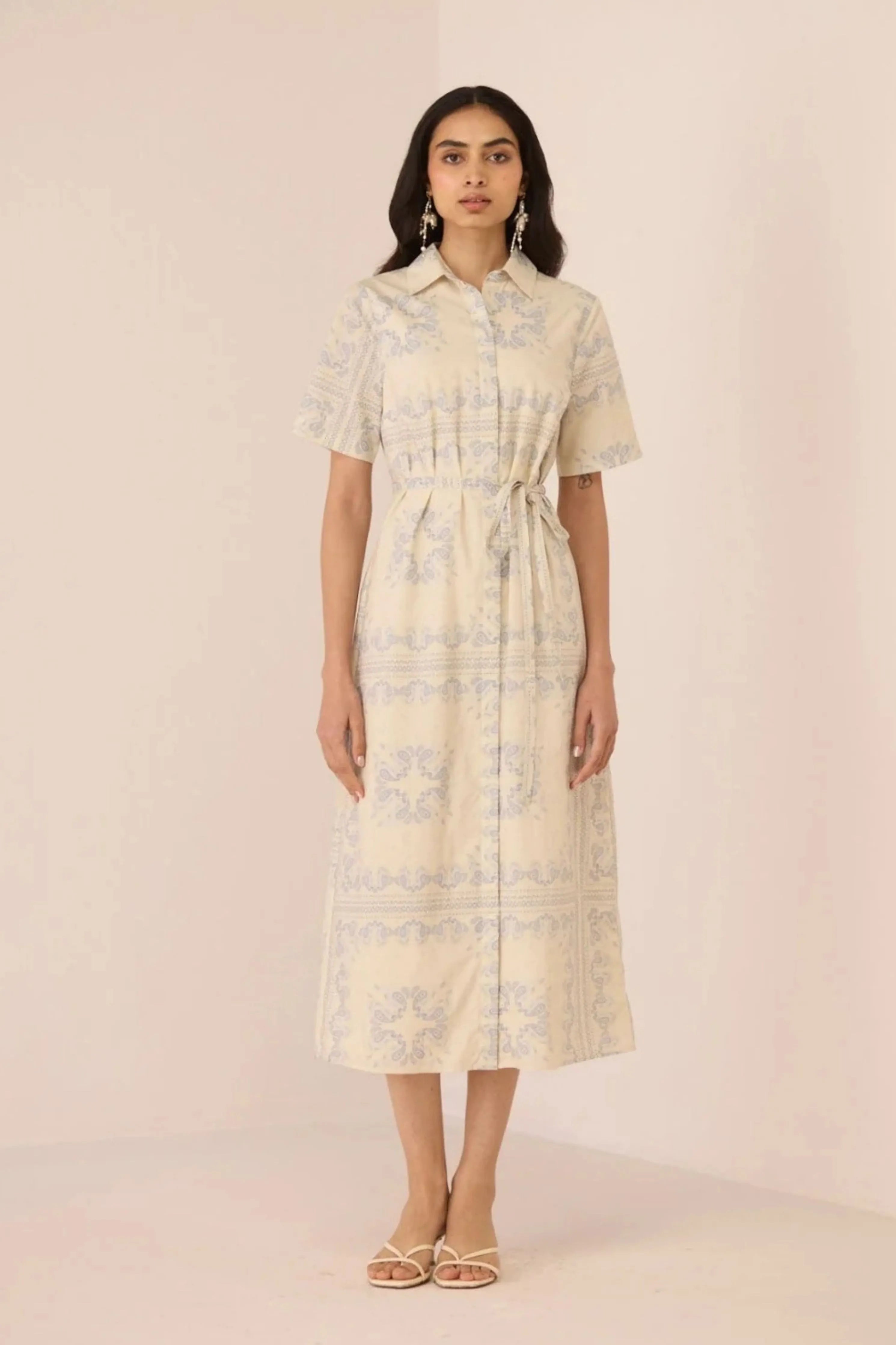 Aster Shirt Dress
