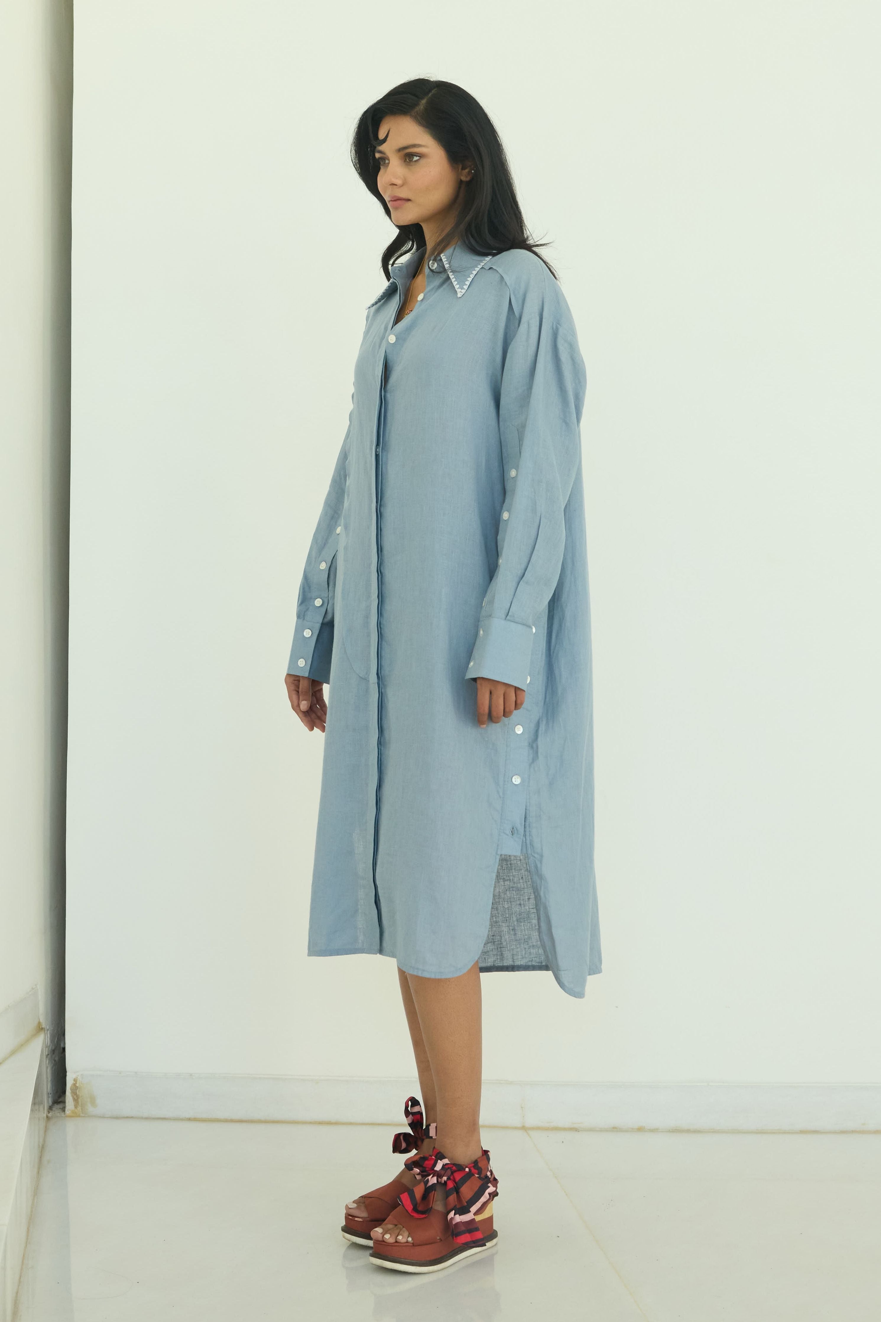 Blue Anastasia Button Down Dress
