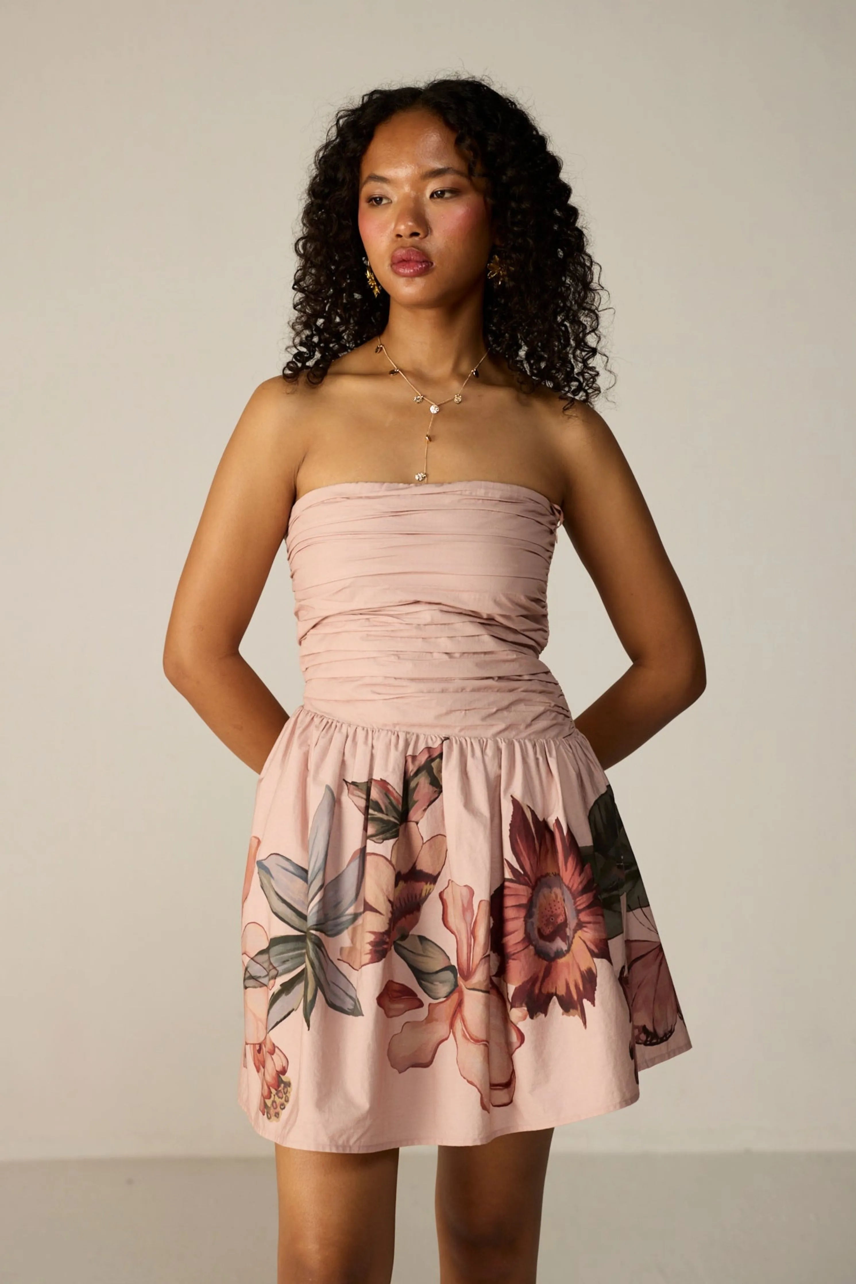Blush Evara Mini Dress