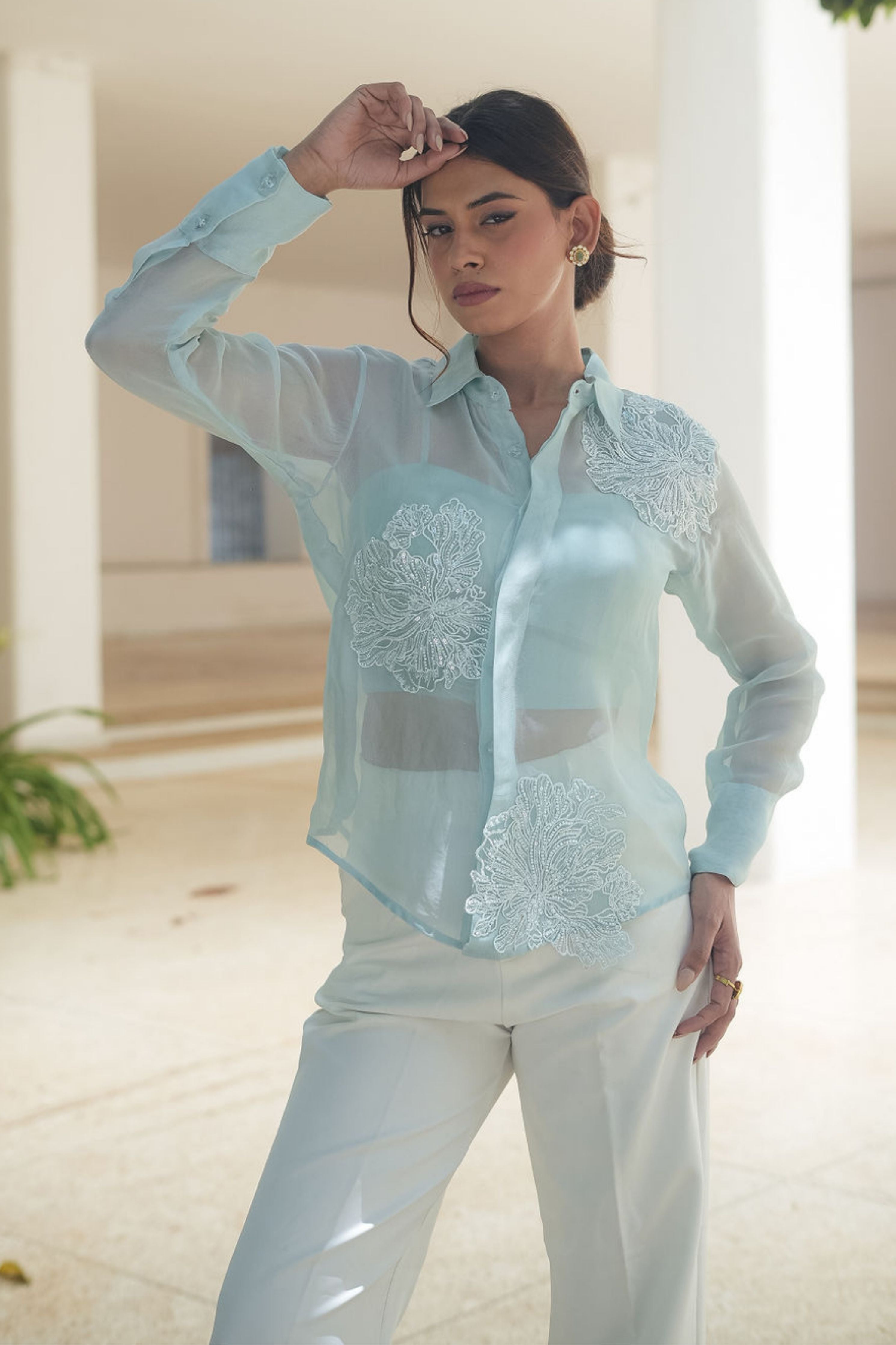 Applique Organza Shirt
