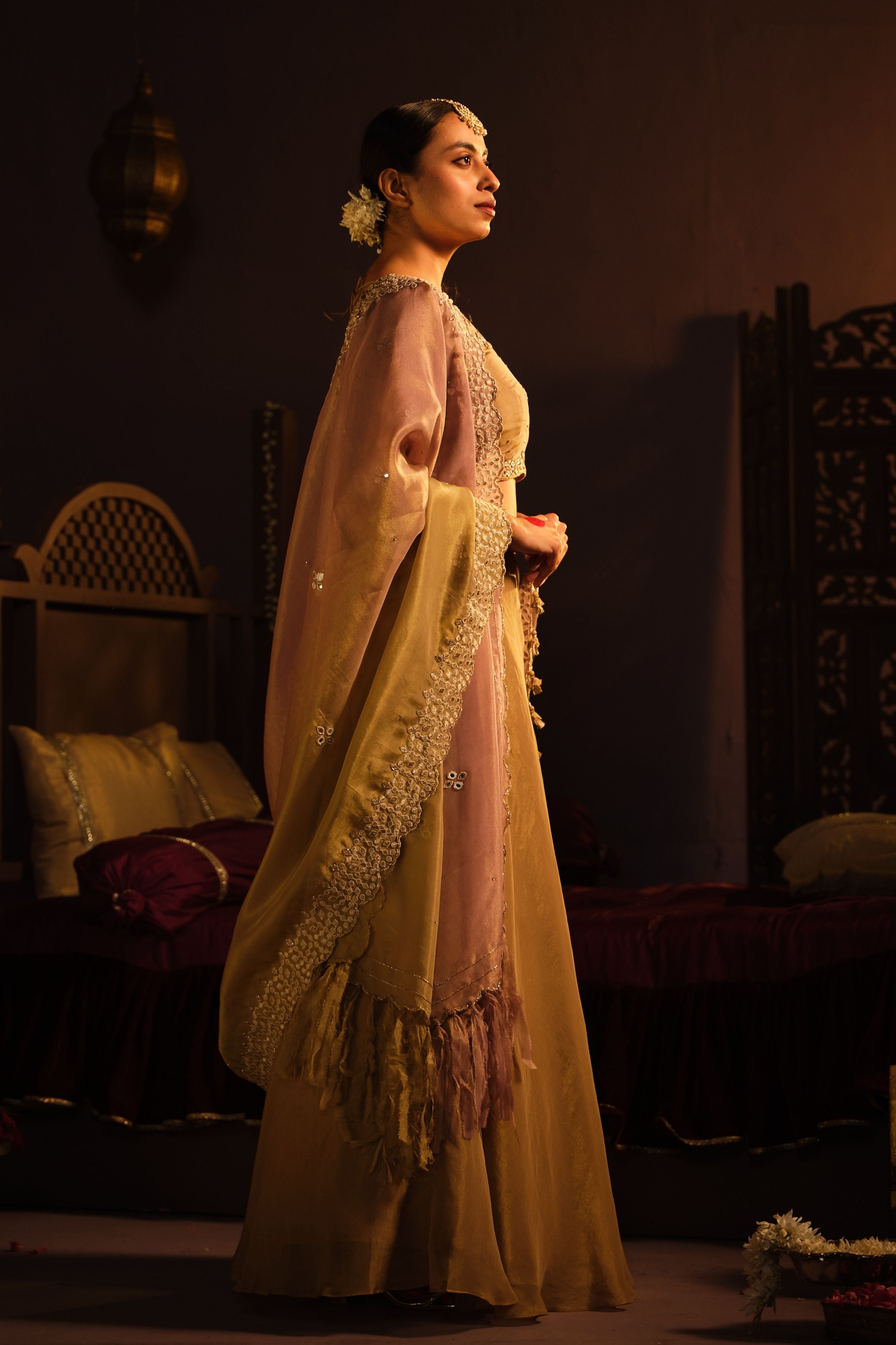 Brown Mirror Lehanga Set