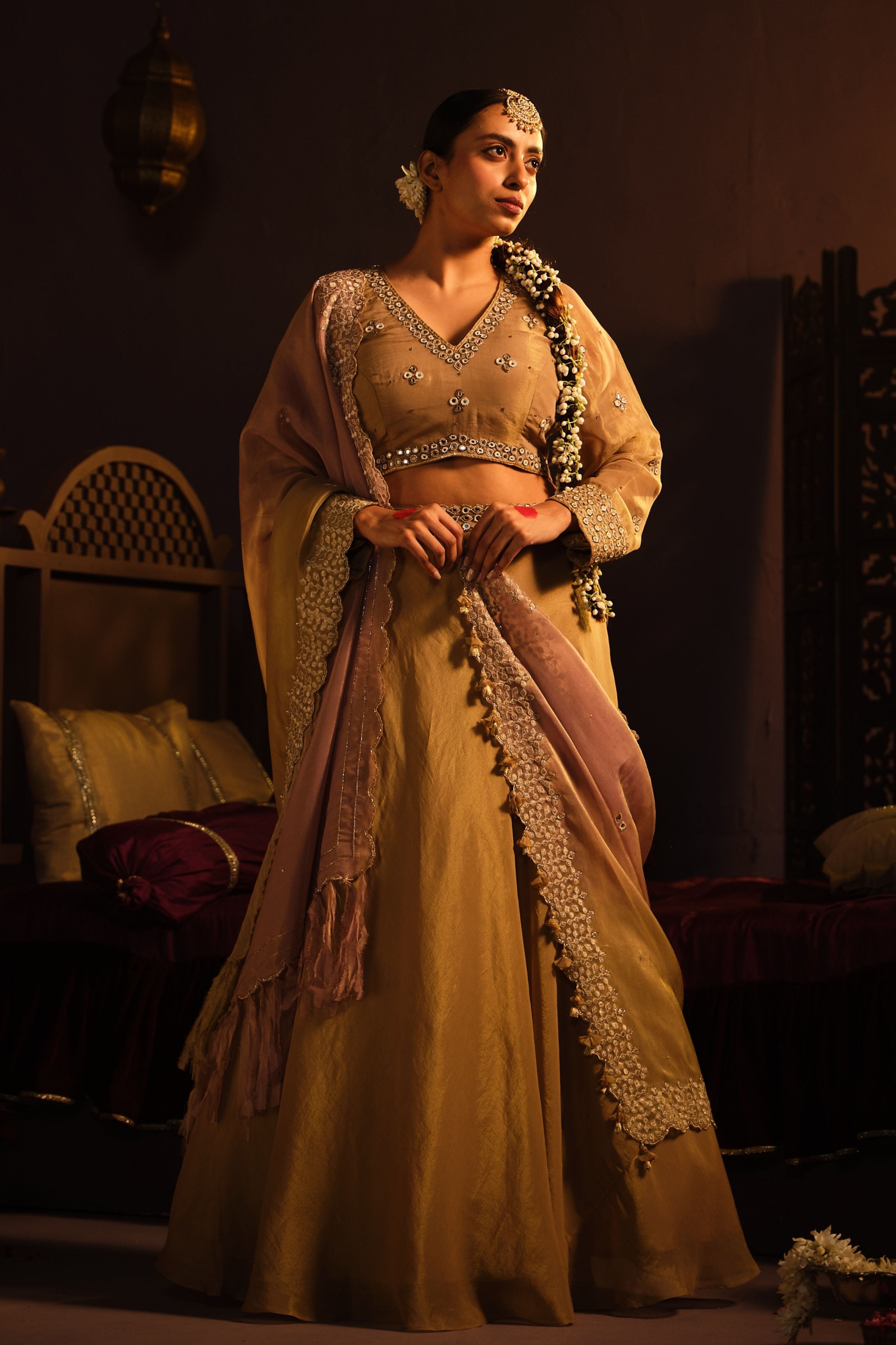 Brown Mirror Lehanga Set